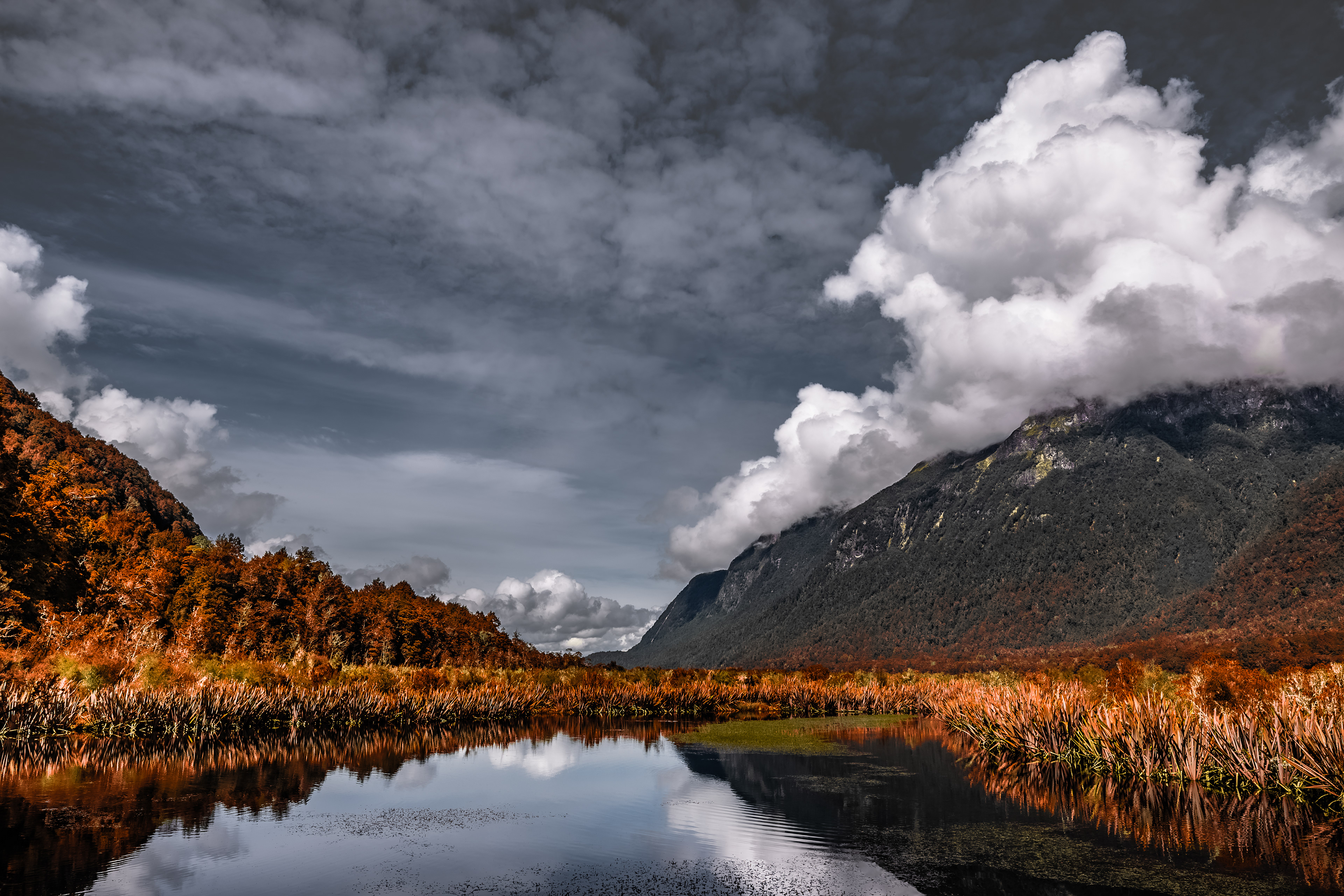 River near Milford Sound