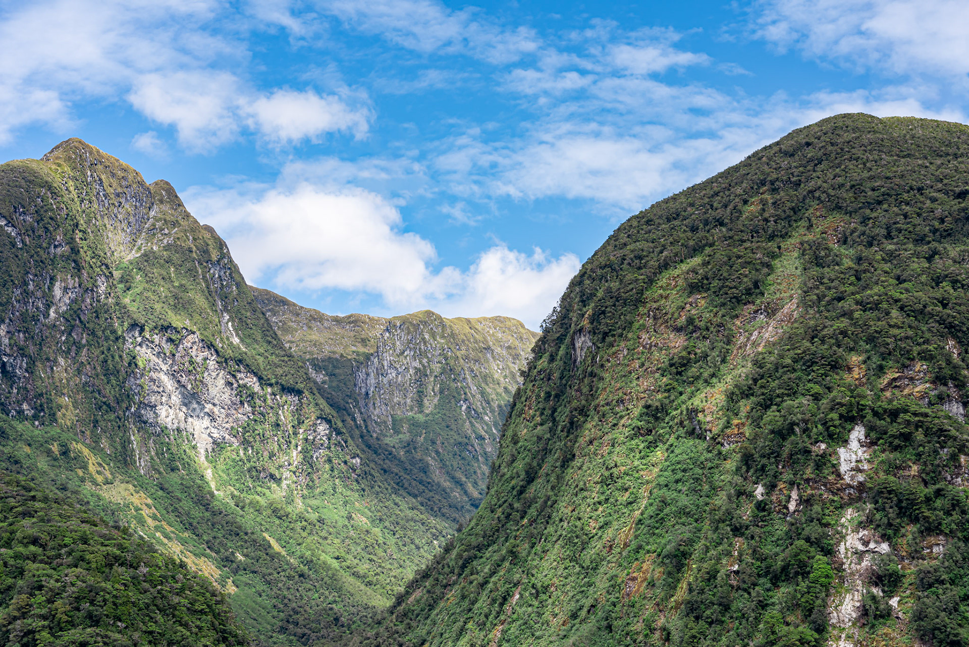 Valley with forest between mountains. Doubtful Sound and green vegetation on the hillsides.