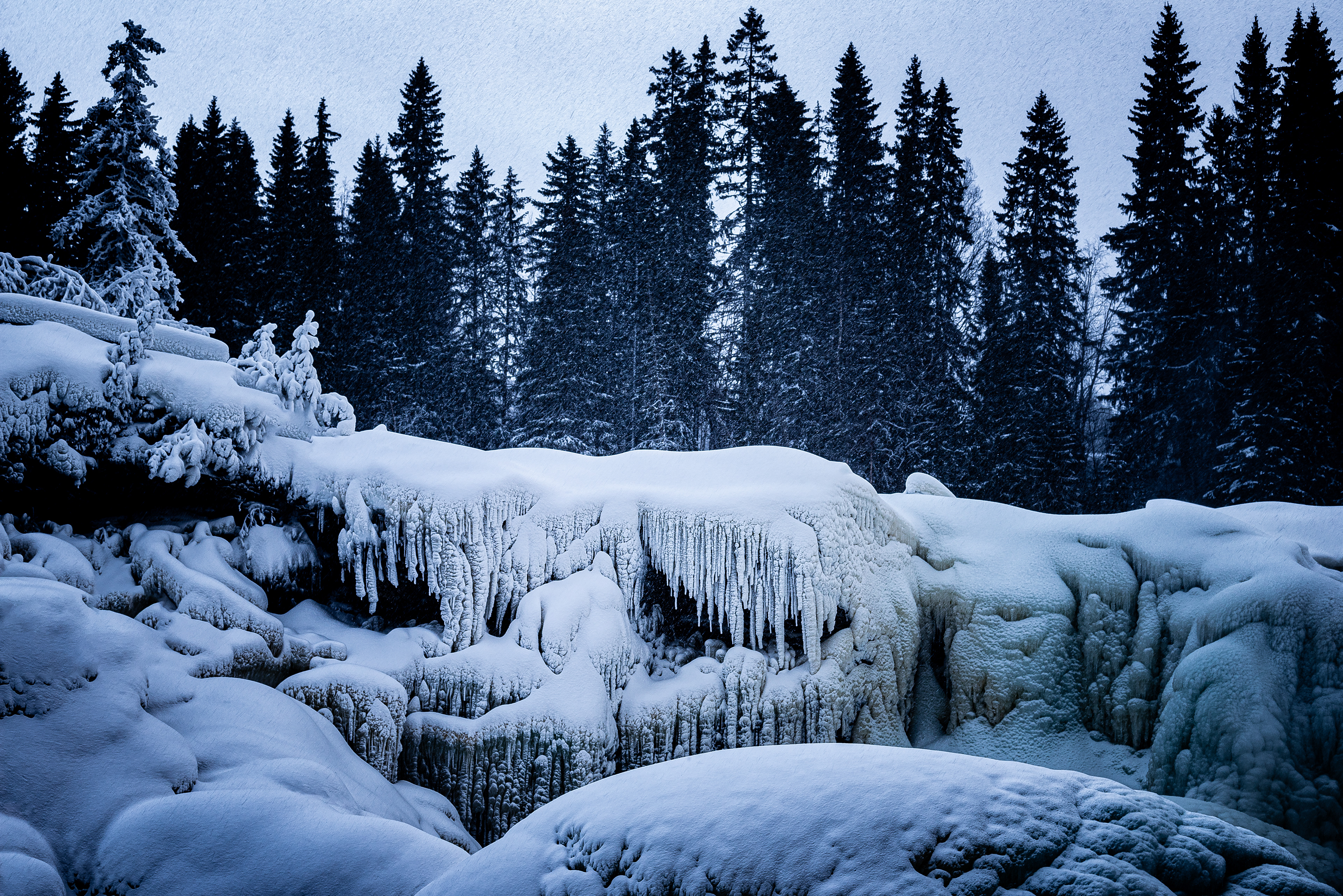 Icicles in forest and snowfall
