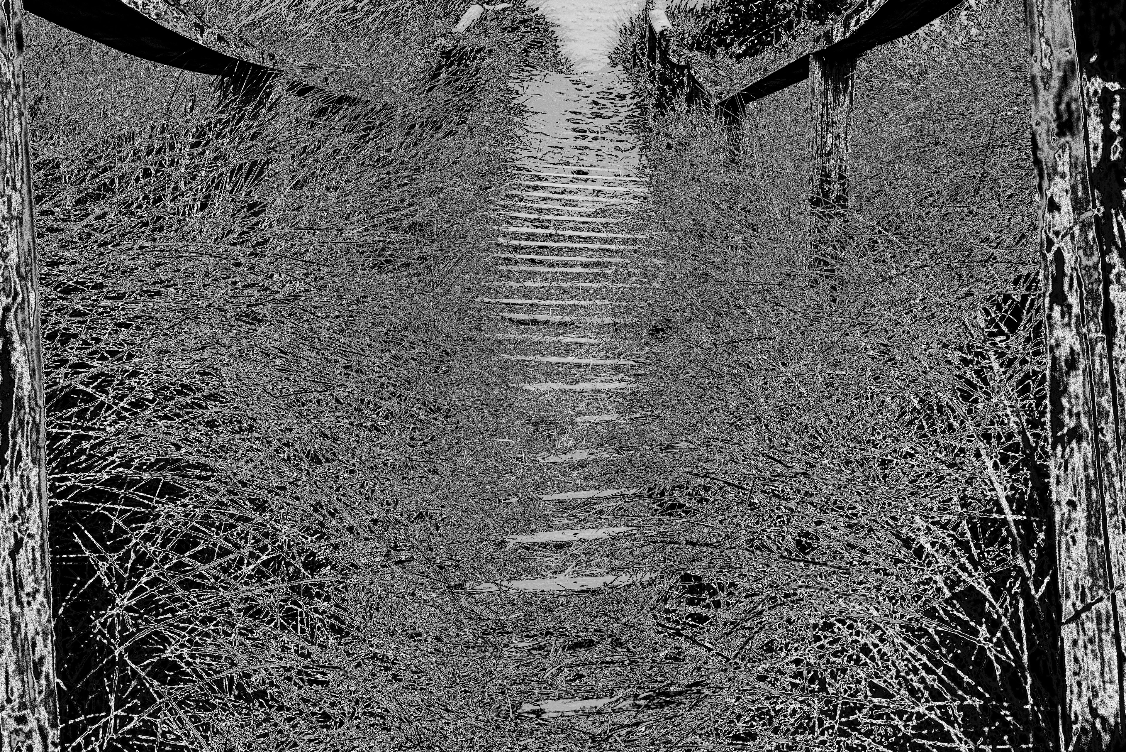 Path to the beach in Christchurch, New Zealand