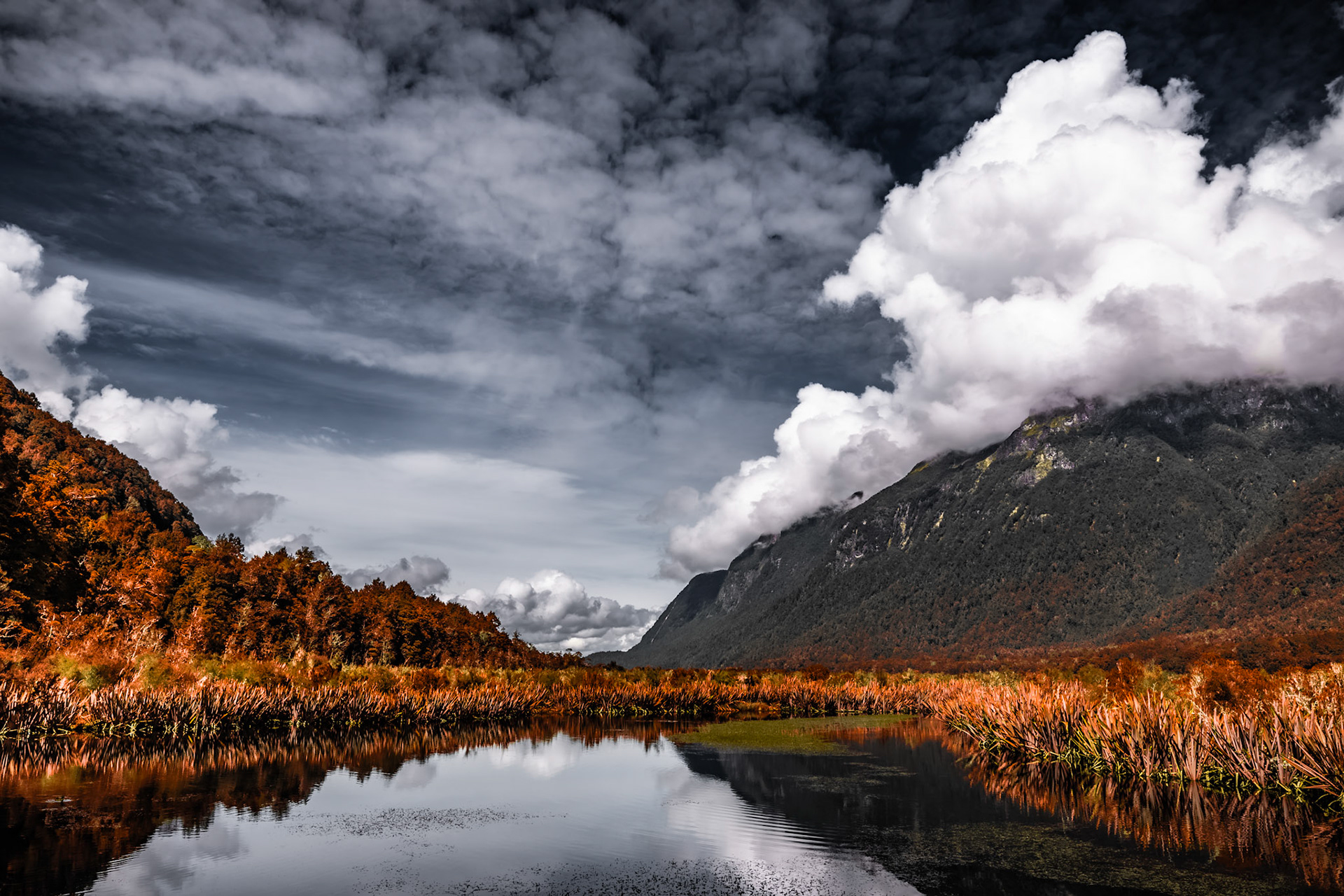 River near Milford Sound.