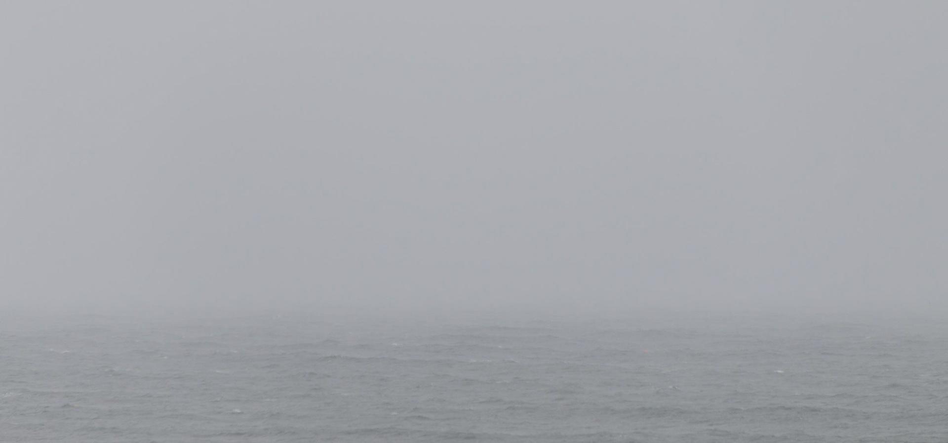 Out to sea - Warkworth
