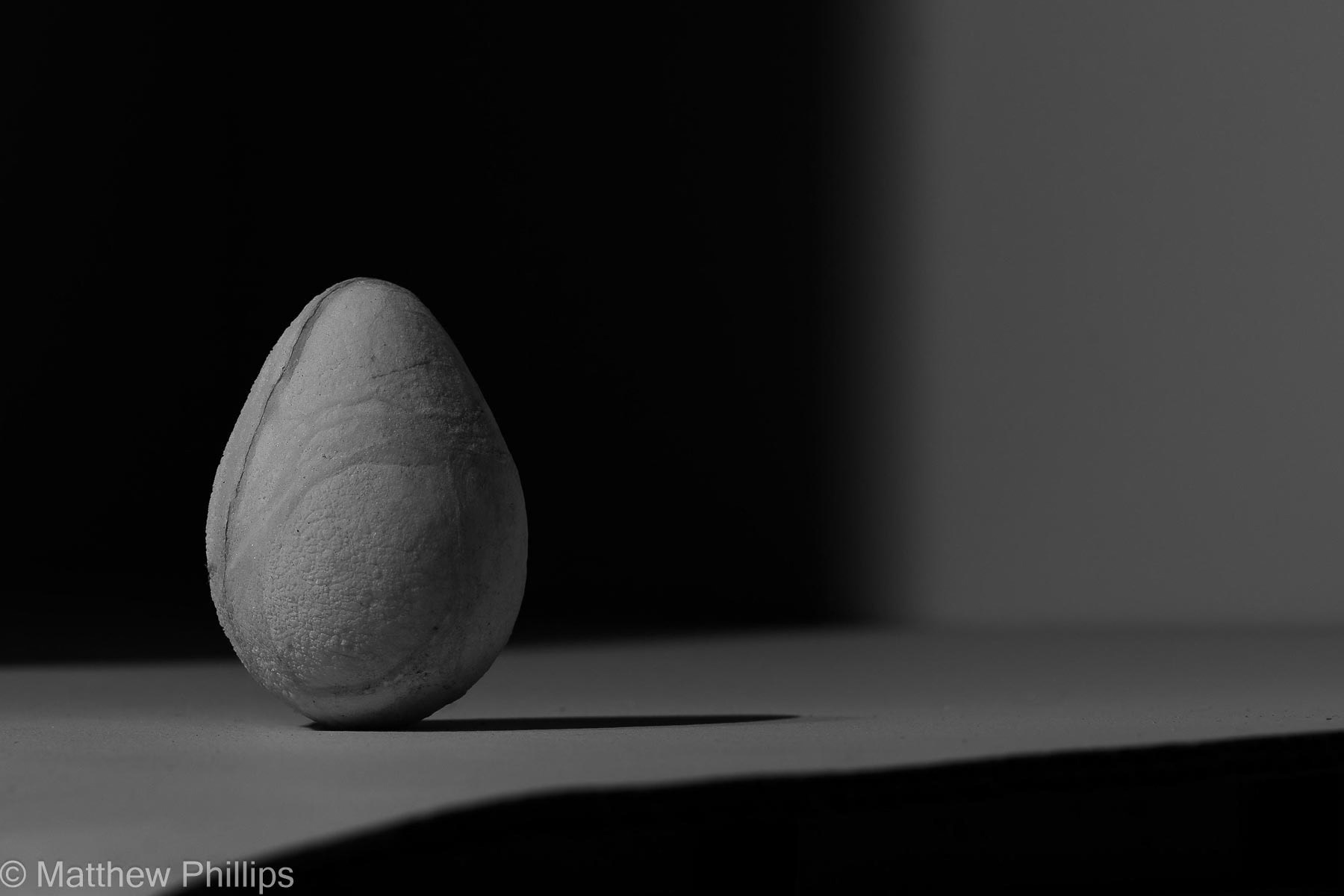 Egg study