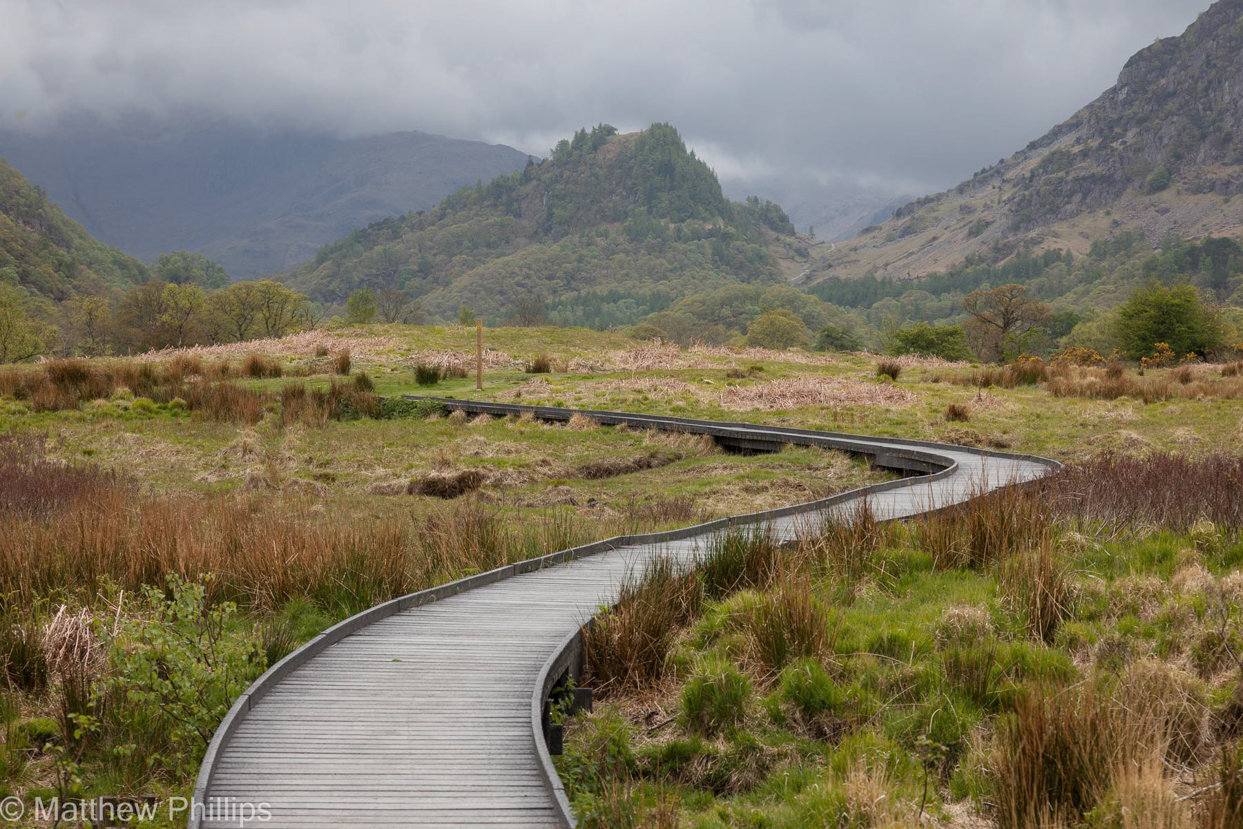 Derwentwater boardwalk
