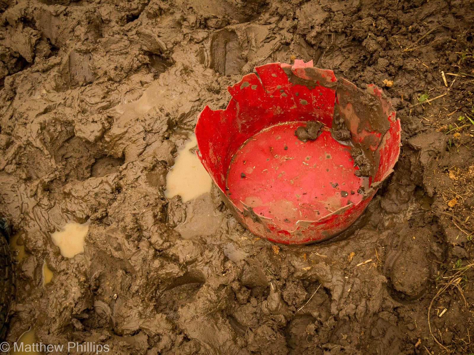 Red bucket