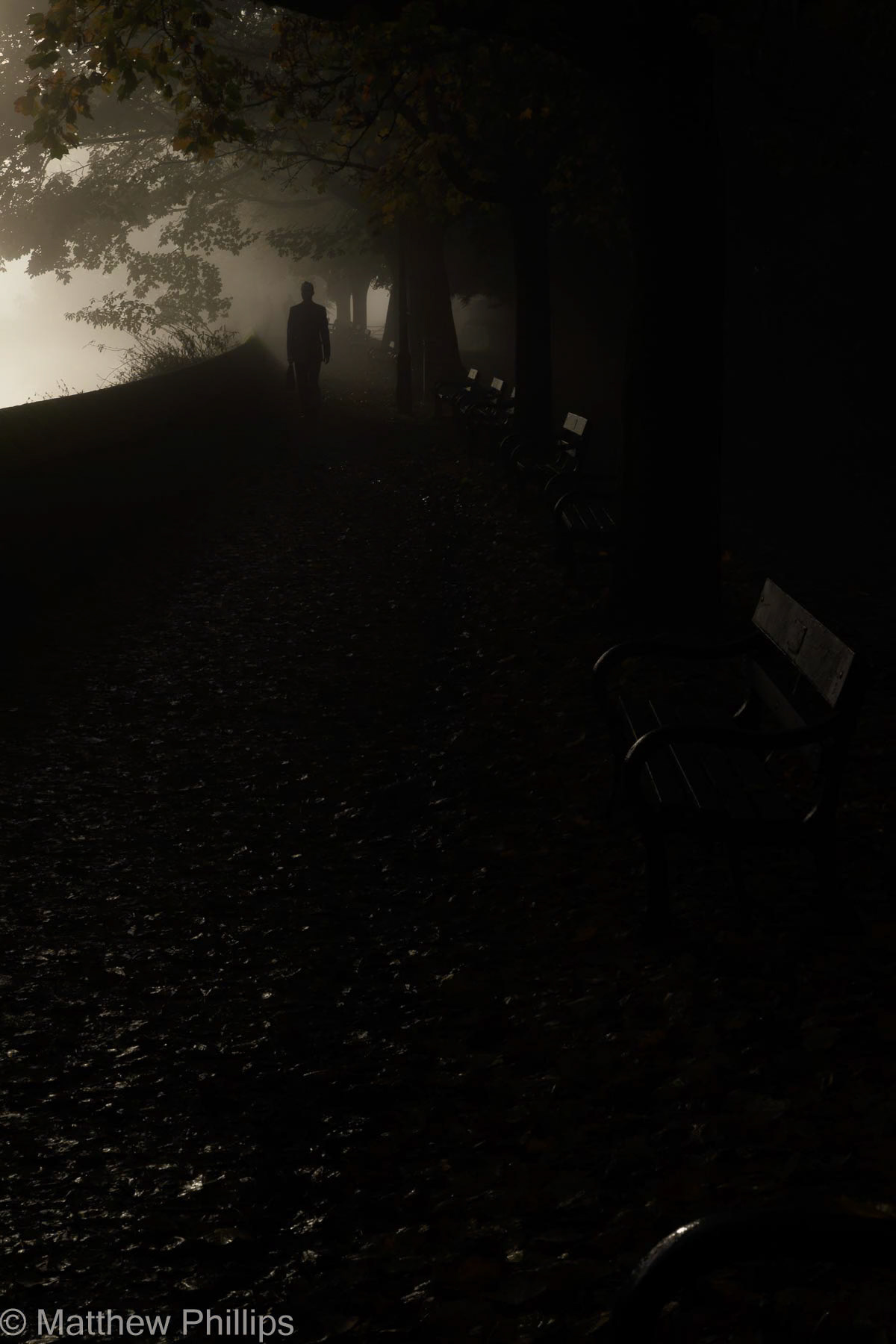 Figure in the mist