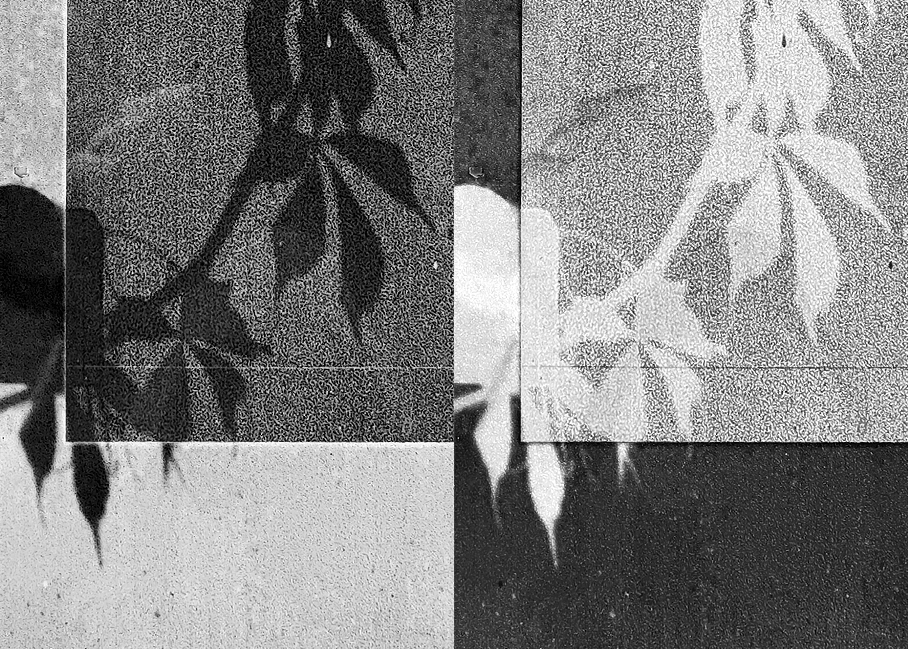 Schaduwmomentjes II + III