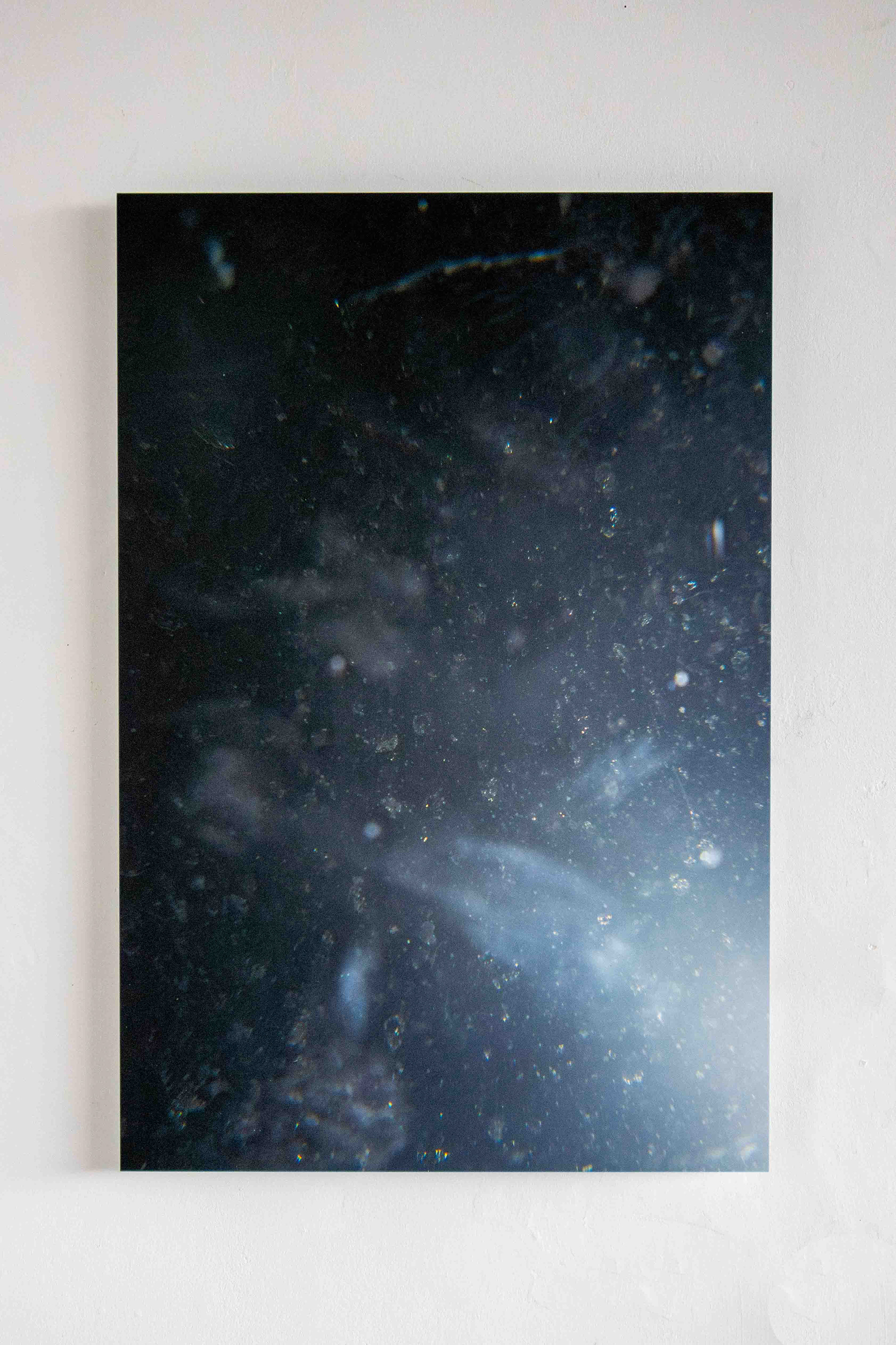 Lotus from the Echo series, Antwerp, 2023, UV-print on dibond, 50 x 75 cm, edition of 5
