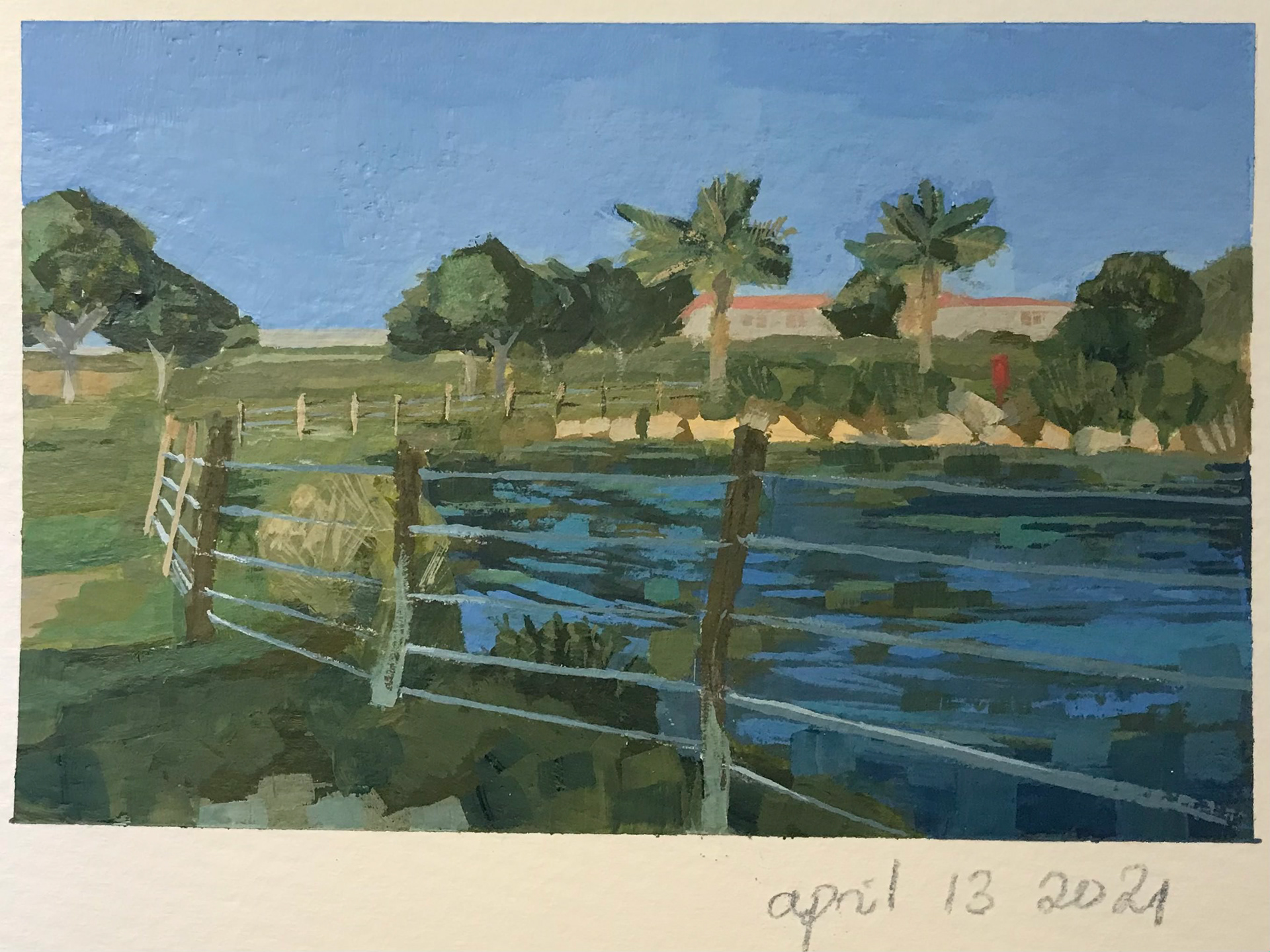 dhahran duck pond, gouache