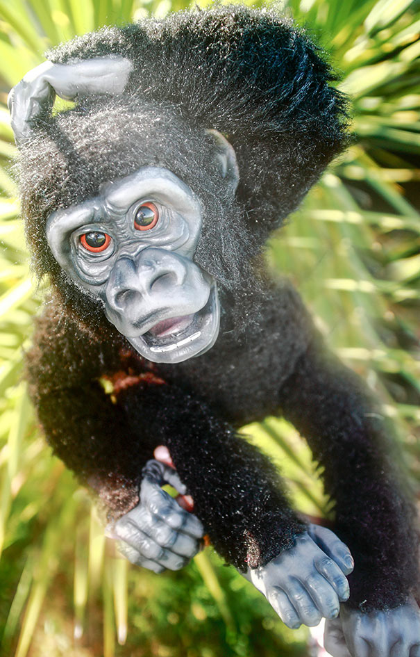 Im A Monkey!