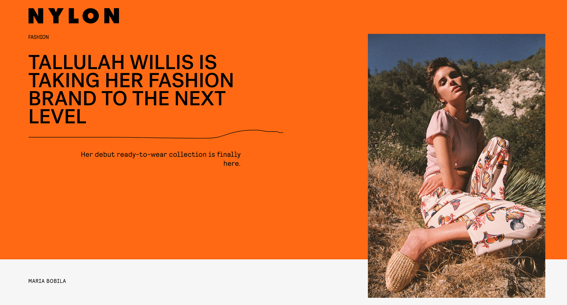 TECHNICAL CONSULTING FOR WYLLIS BRAND