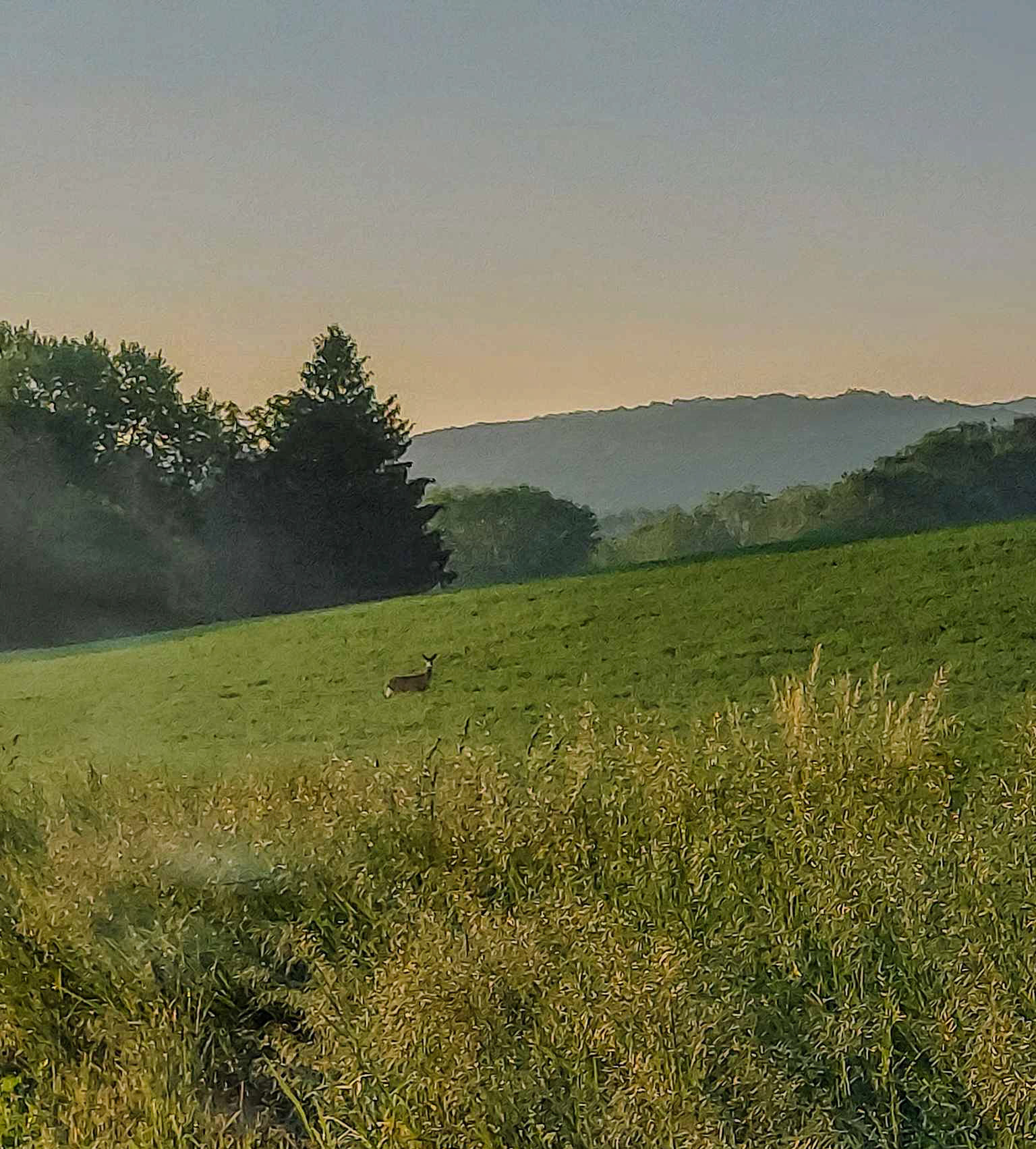 Rural Northumberland County, PA - Spring 2018