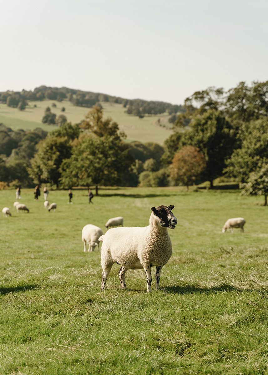 yorkshire sculpture park, england