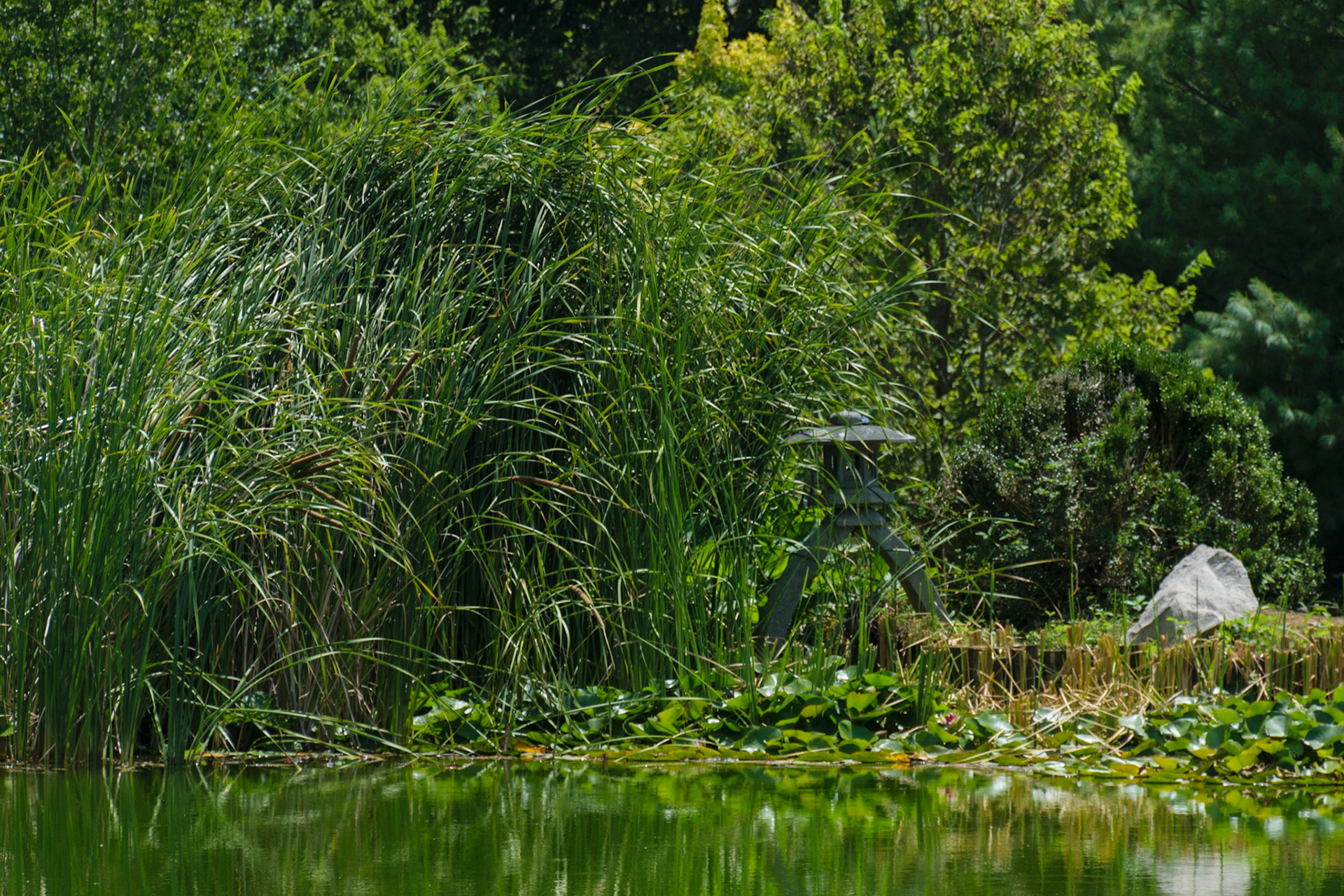 I took a photo very much like this in winter of this year. Looks much more dramatic then.