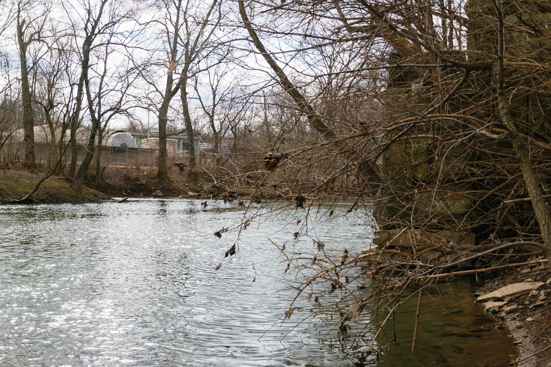 Elkhorn creek runs beside the Japaneese gardens.