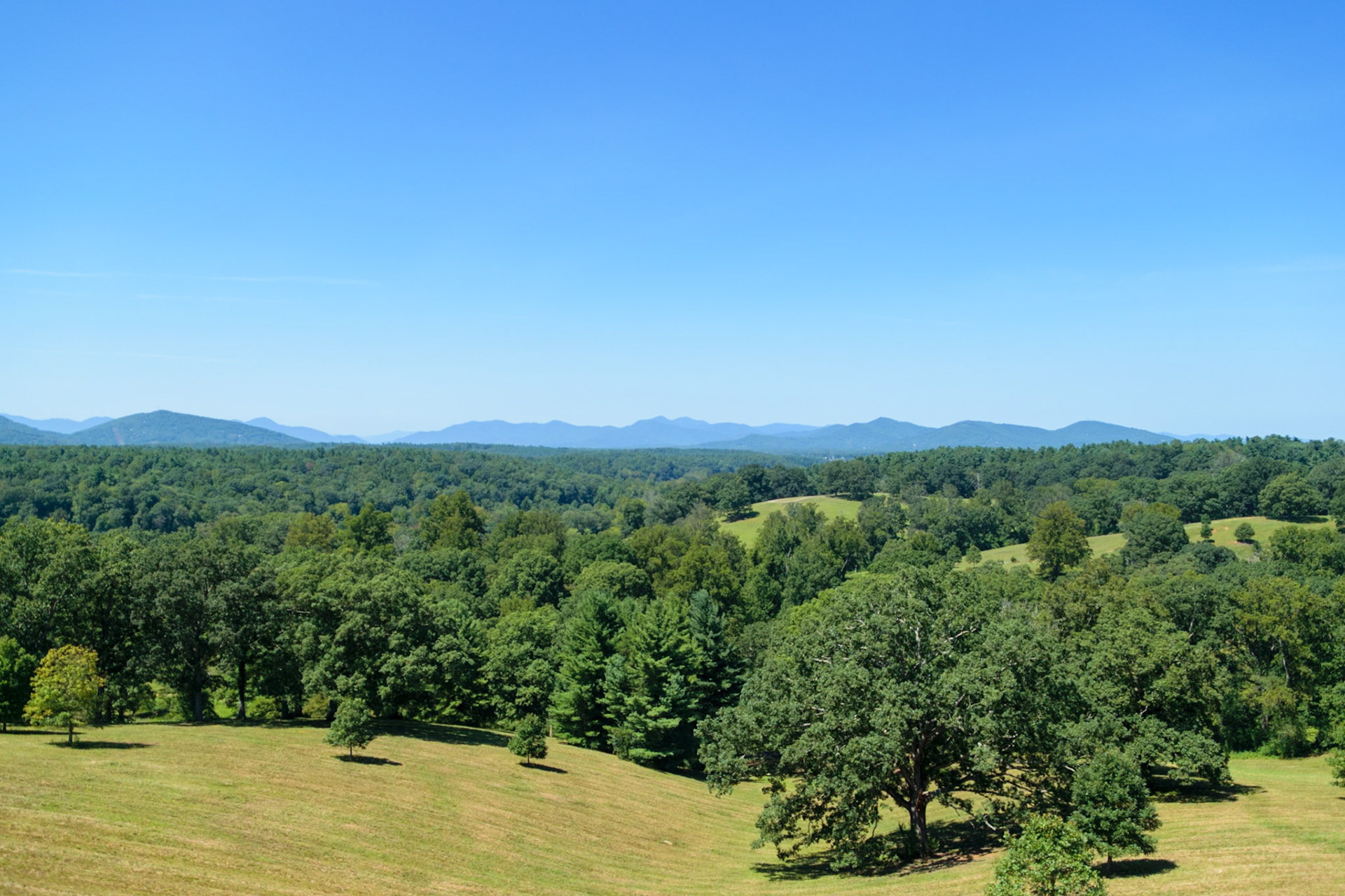 The landscape outside the Biltmore is as amazing as the building itself.