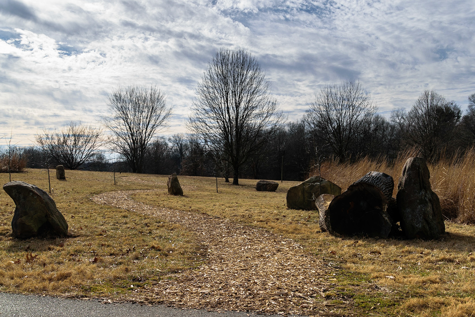 A path made of woodchips cuts through to the other side of the arboreum.