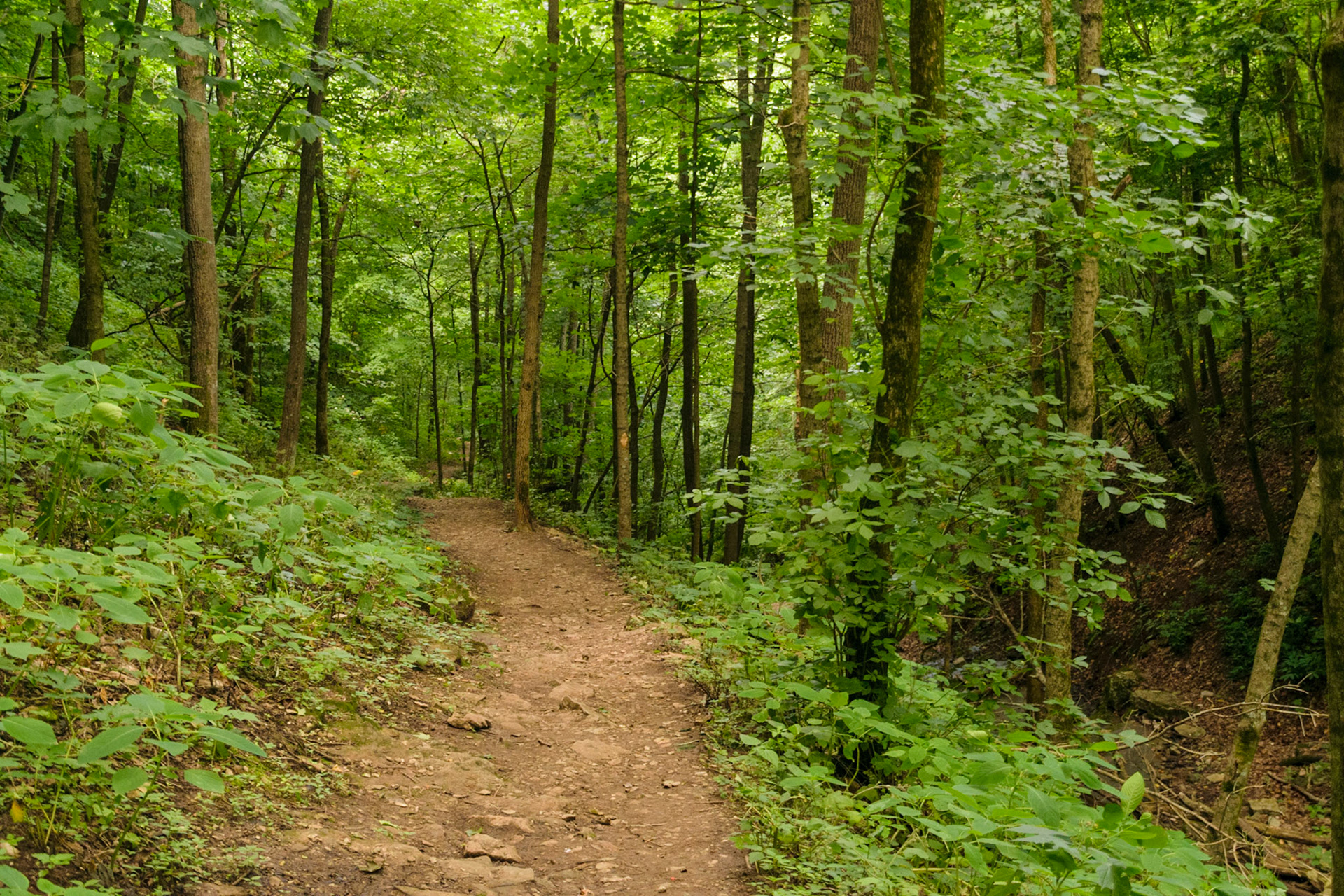 The path runs beside a large ravine. Watch your step!