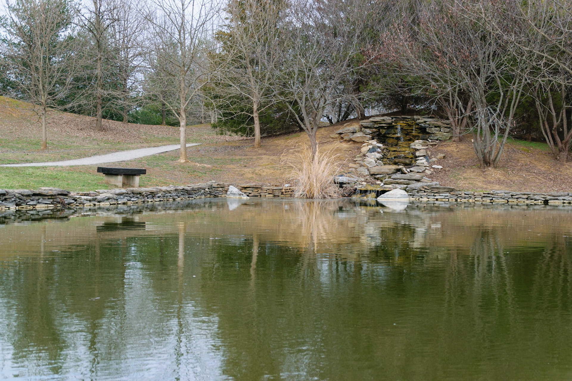 View from the other side of the pond.