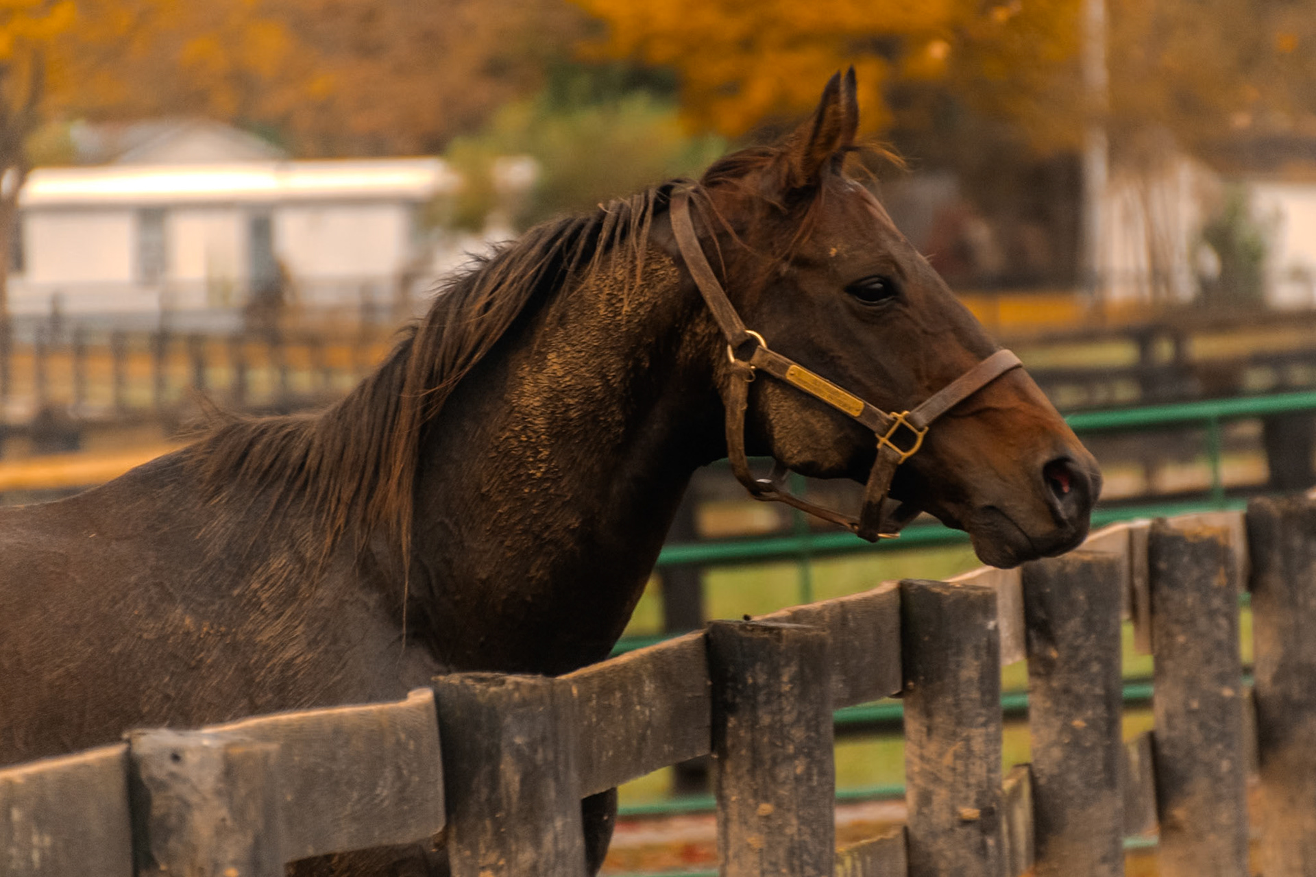 This guy was focused on something else more important than me.