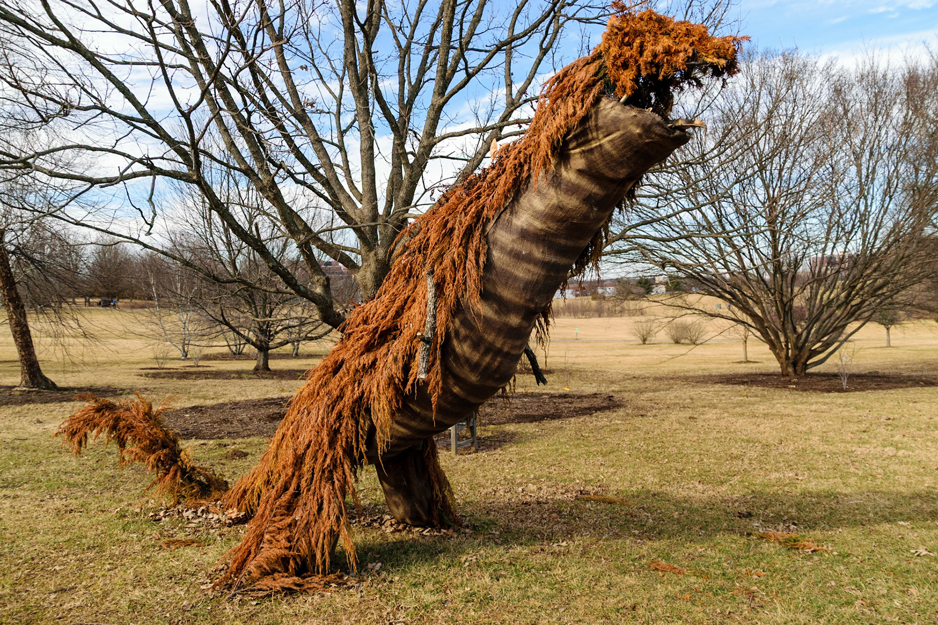 A thick layer of plant like fur covers the skin of this statue.