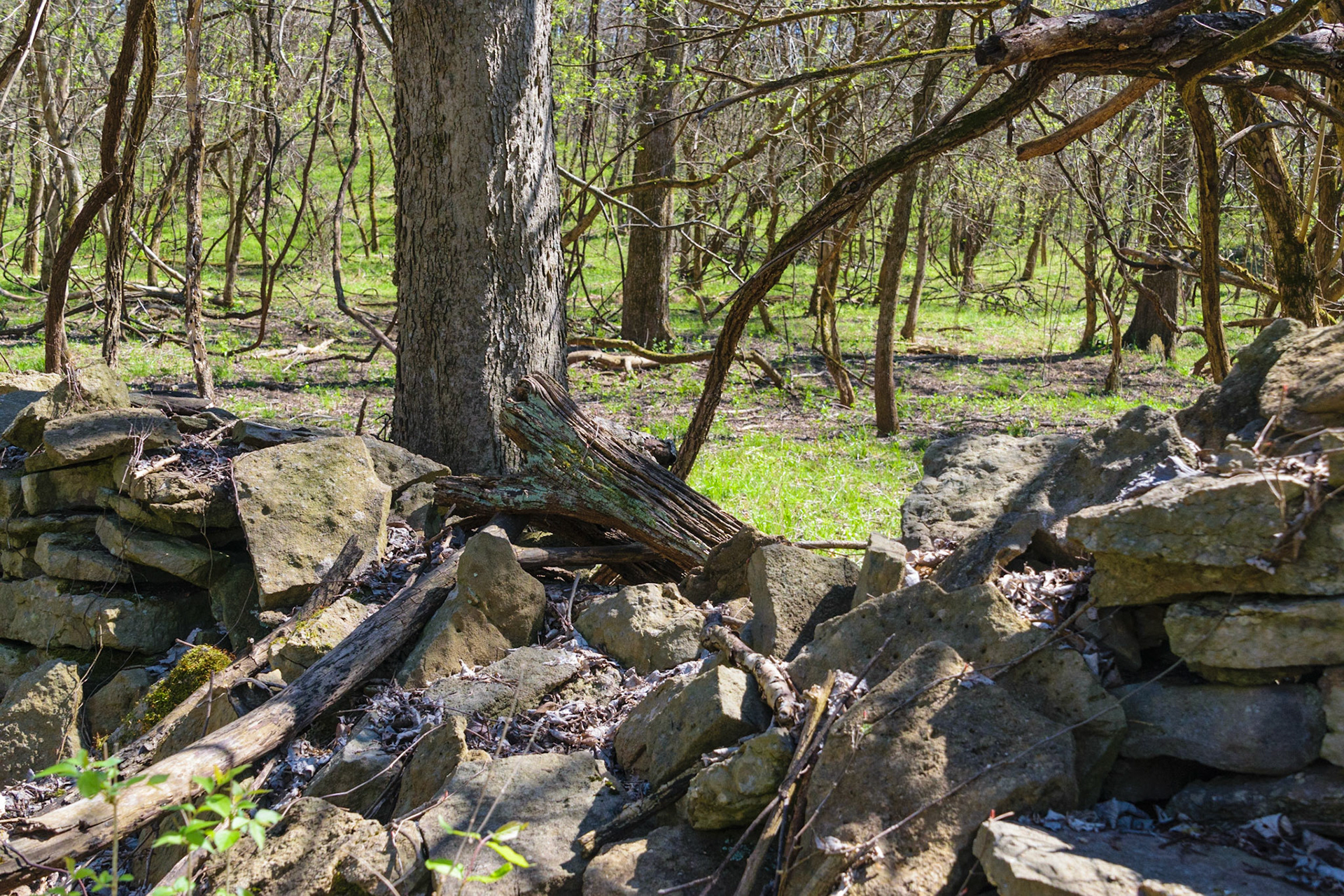 This old limestone wall has seen better days. It now lays in disrepair.