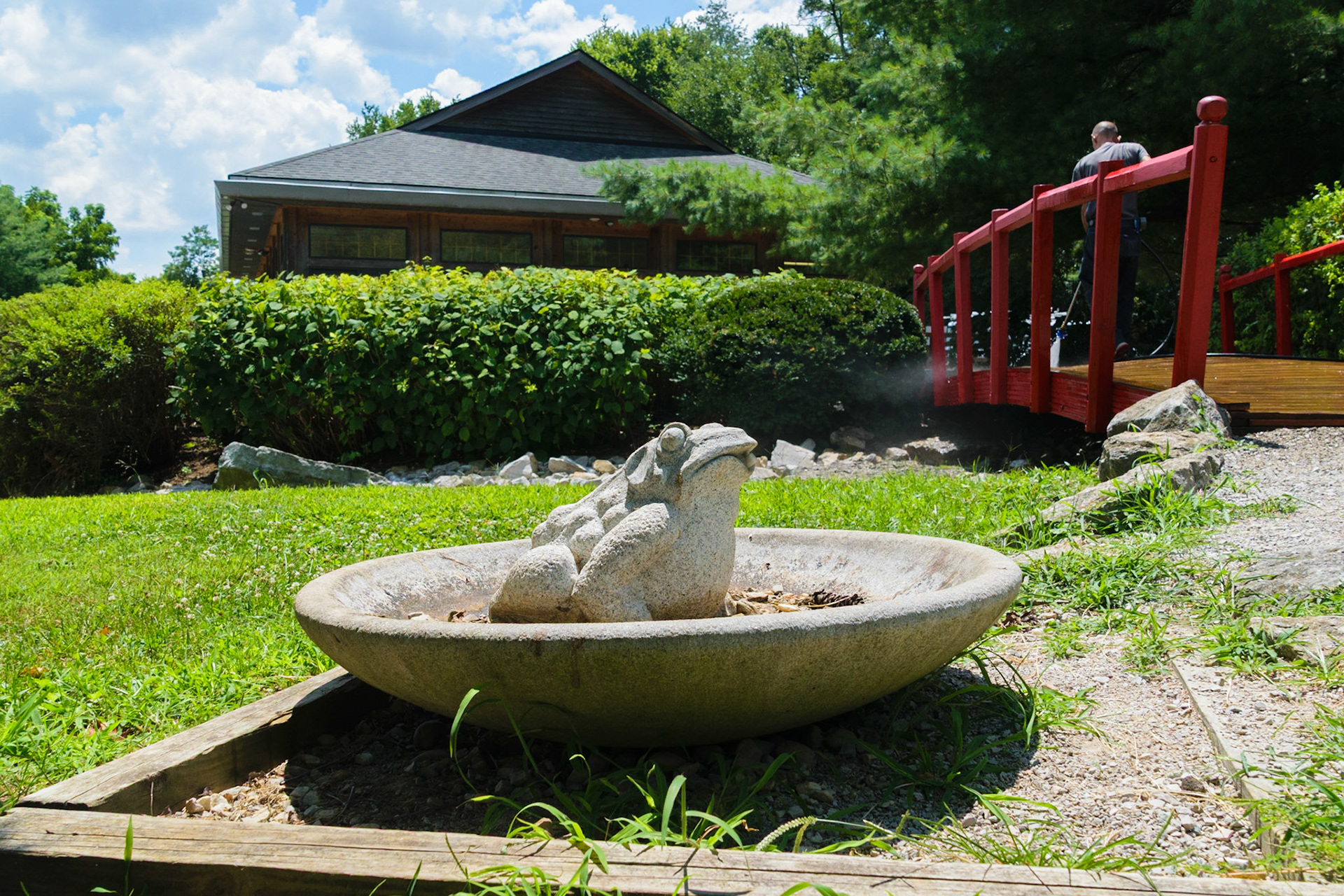 I think this frog was also a fountain, but it doesn't seem to be working.