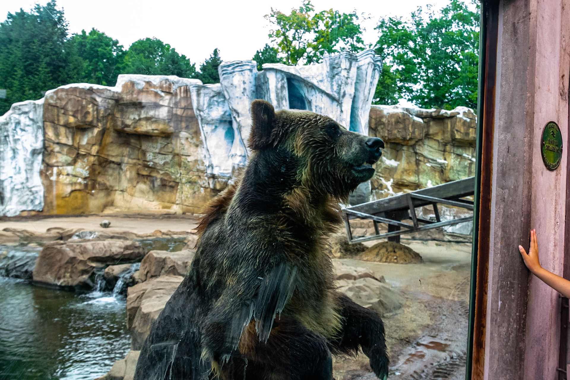 If not friend, why friend shaped?