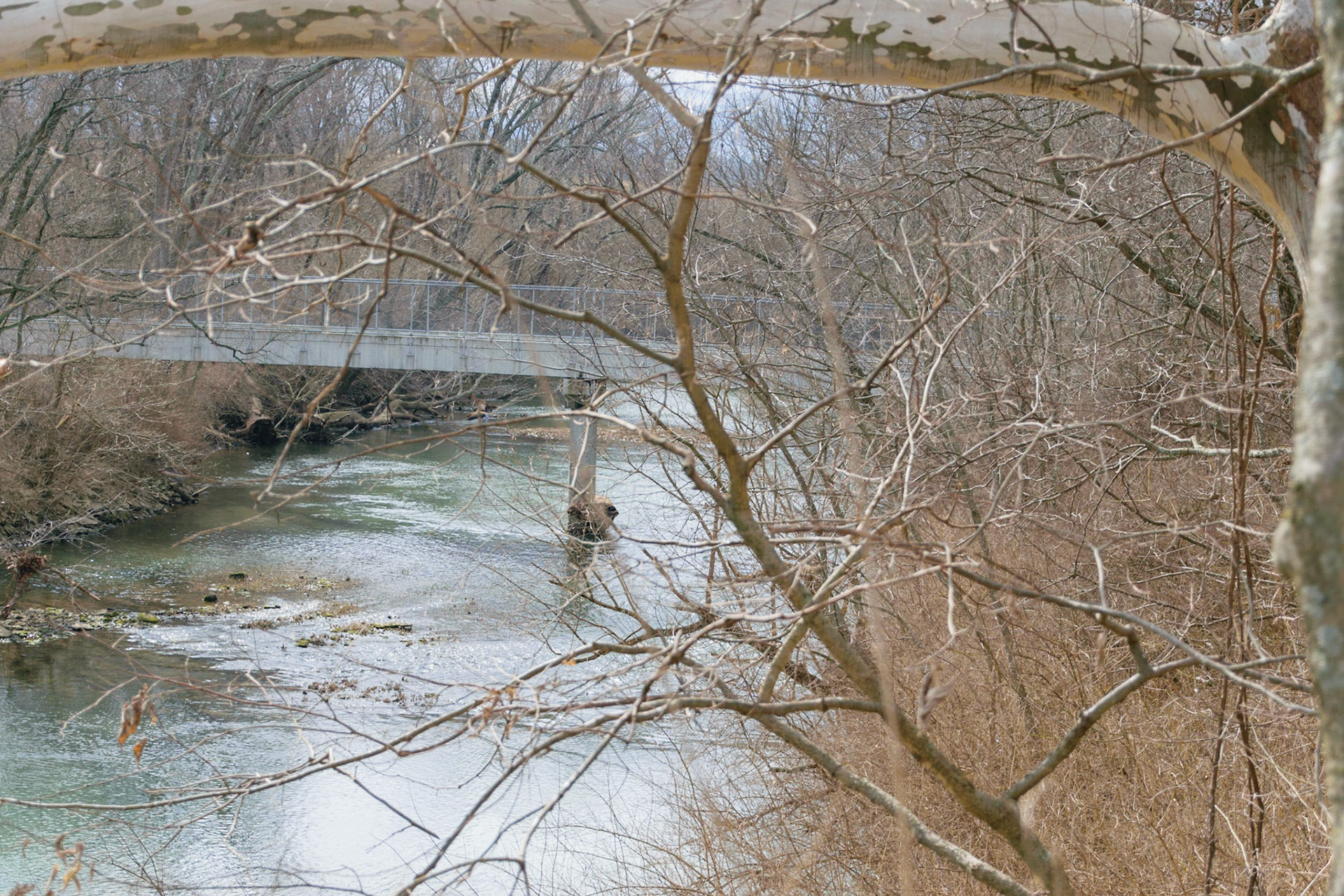 This is the view from above the creek, on the other portion of the train bridge.