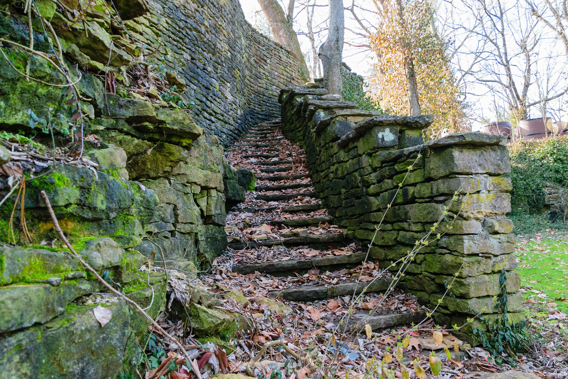 Built into a limestone wall, a staircase climbs to a unique vantage point.