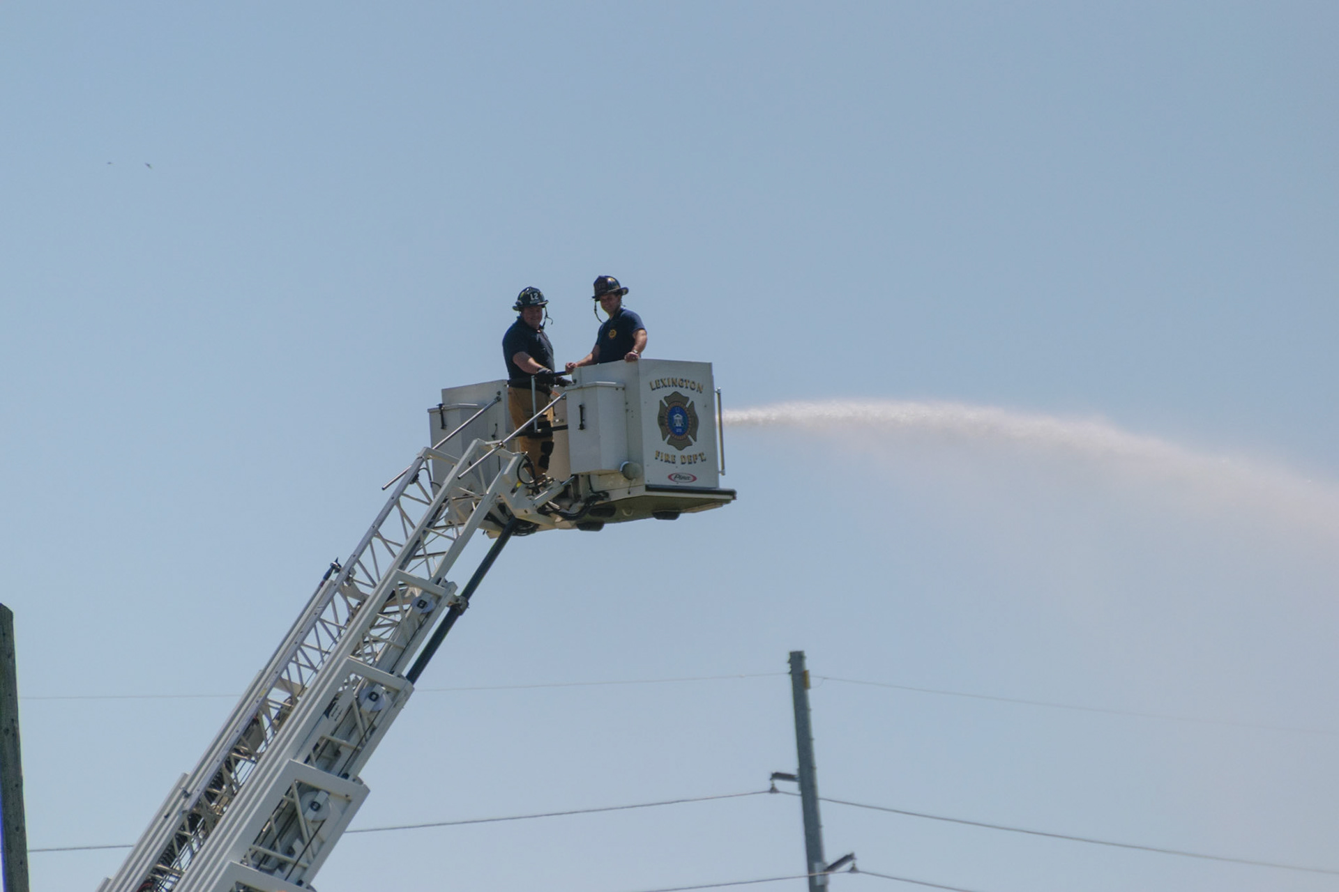 I don't know if these guys saw me taking their picture or not, but they seem like they're looking at me.