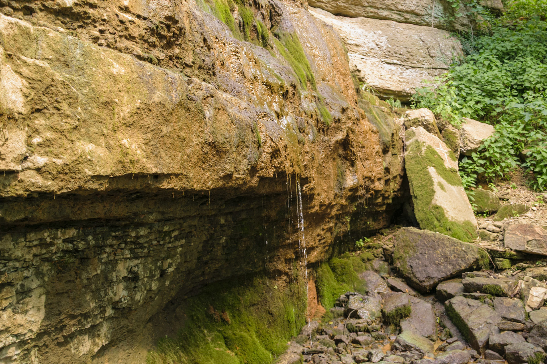 The spring finally makes it to the ground here. It will continue onwards to the Kentucky River below.