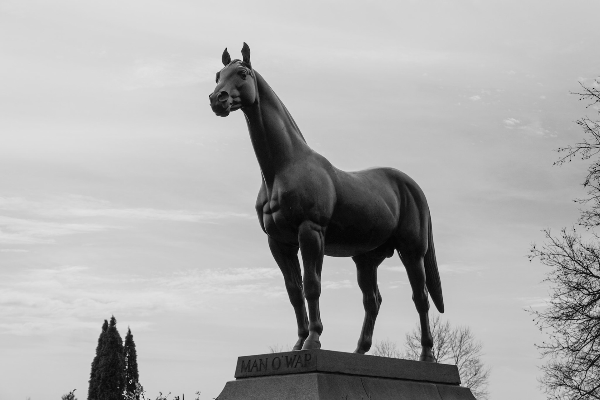 Man o' War is considered one of the greatest thoroughbred horses of all time. He is immortalized forever in this statue.