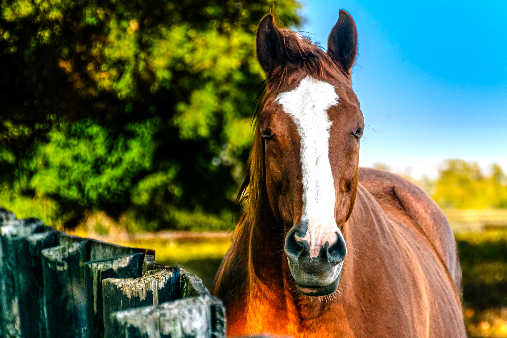 This guy took a particular interest in what I was doing.