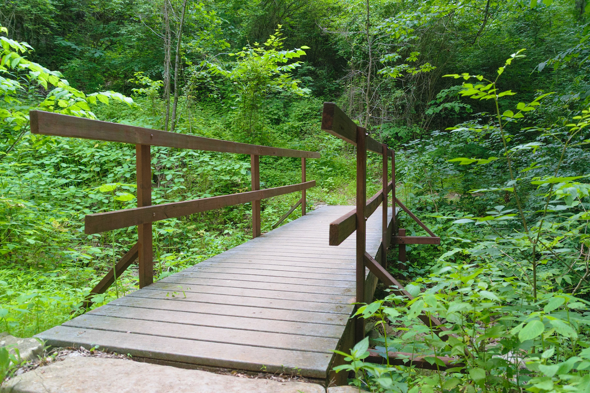 This small bridge stands in the gap on the near side of the ravine that makes up a large portion of the trails.