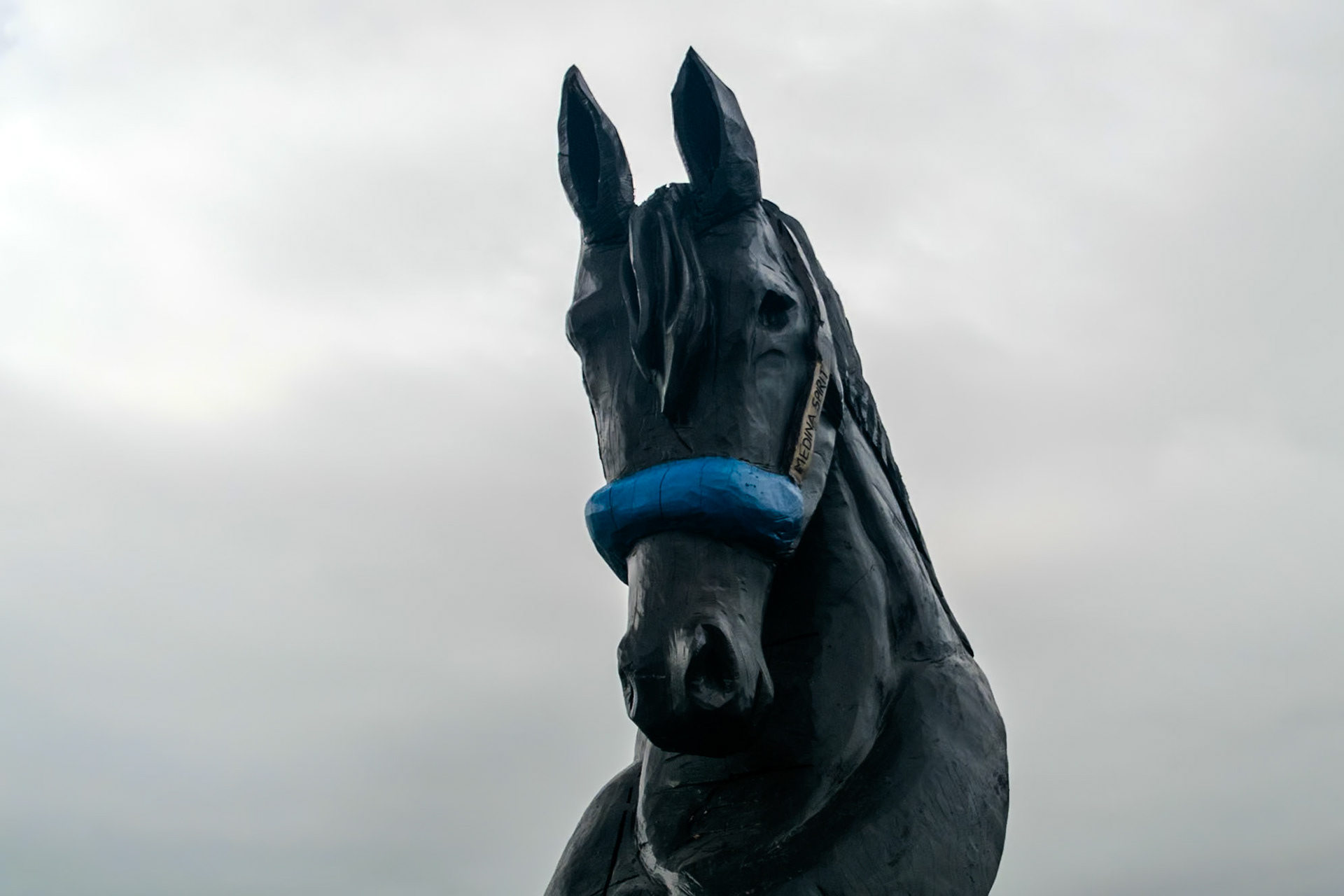 This beautiful carving of Medina Spirit watches over Old Friends Farm.