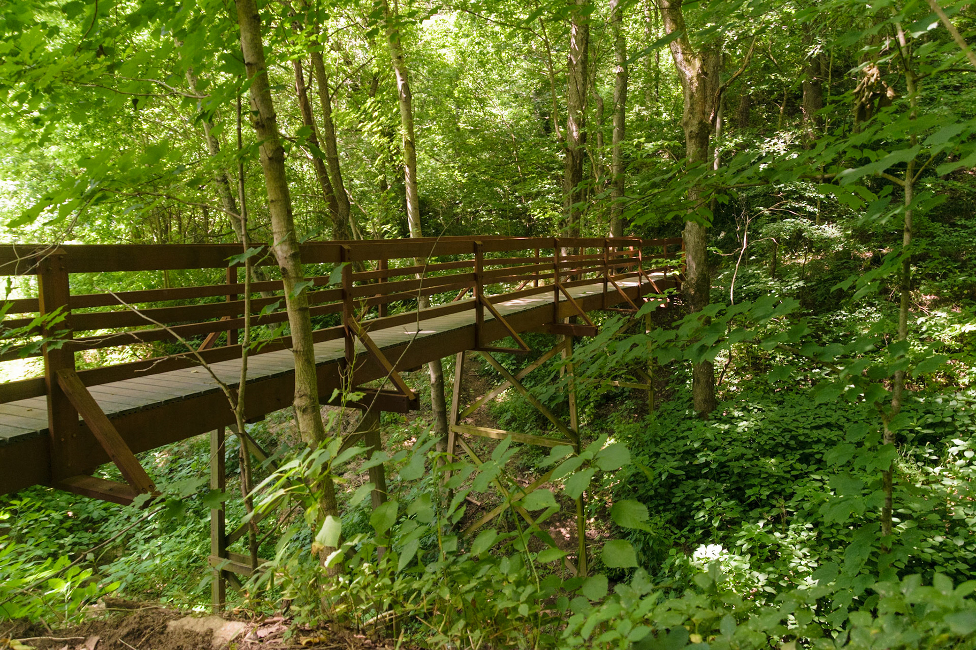 This large bridge stands in the ravine over on the far side. It's considerably larger than it's counterpart at the other side of the ravine.
