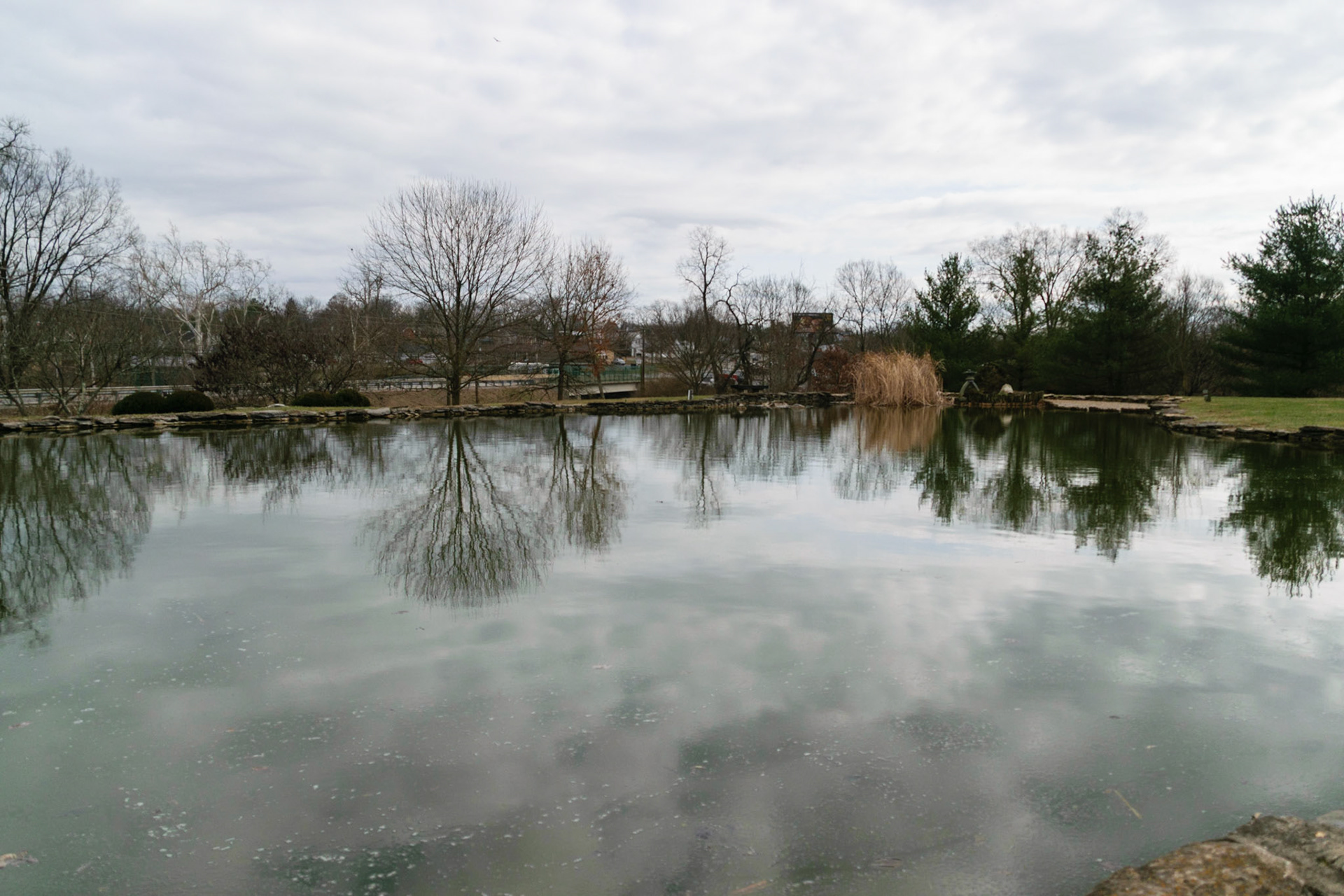 The water is so still, it's like a mirror.