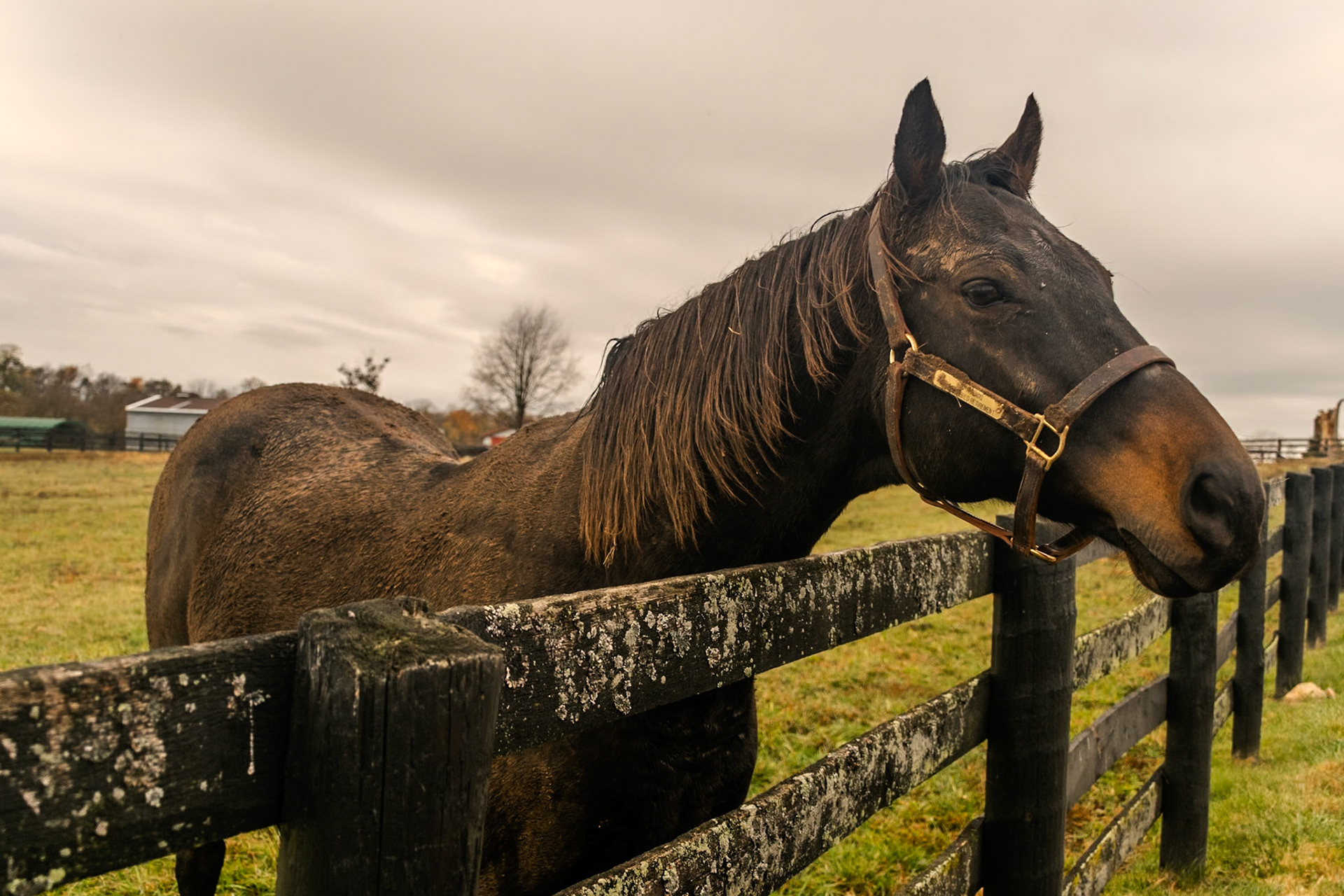 A former pro athlete enjoying his retirement.
