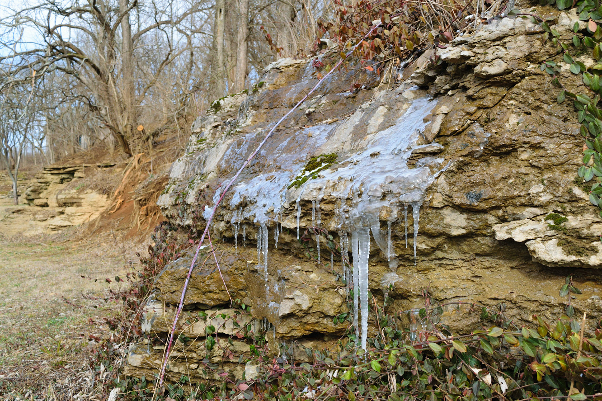 I always like the way the ice forms on the lime stone here in KY.