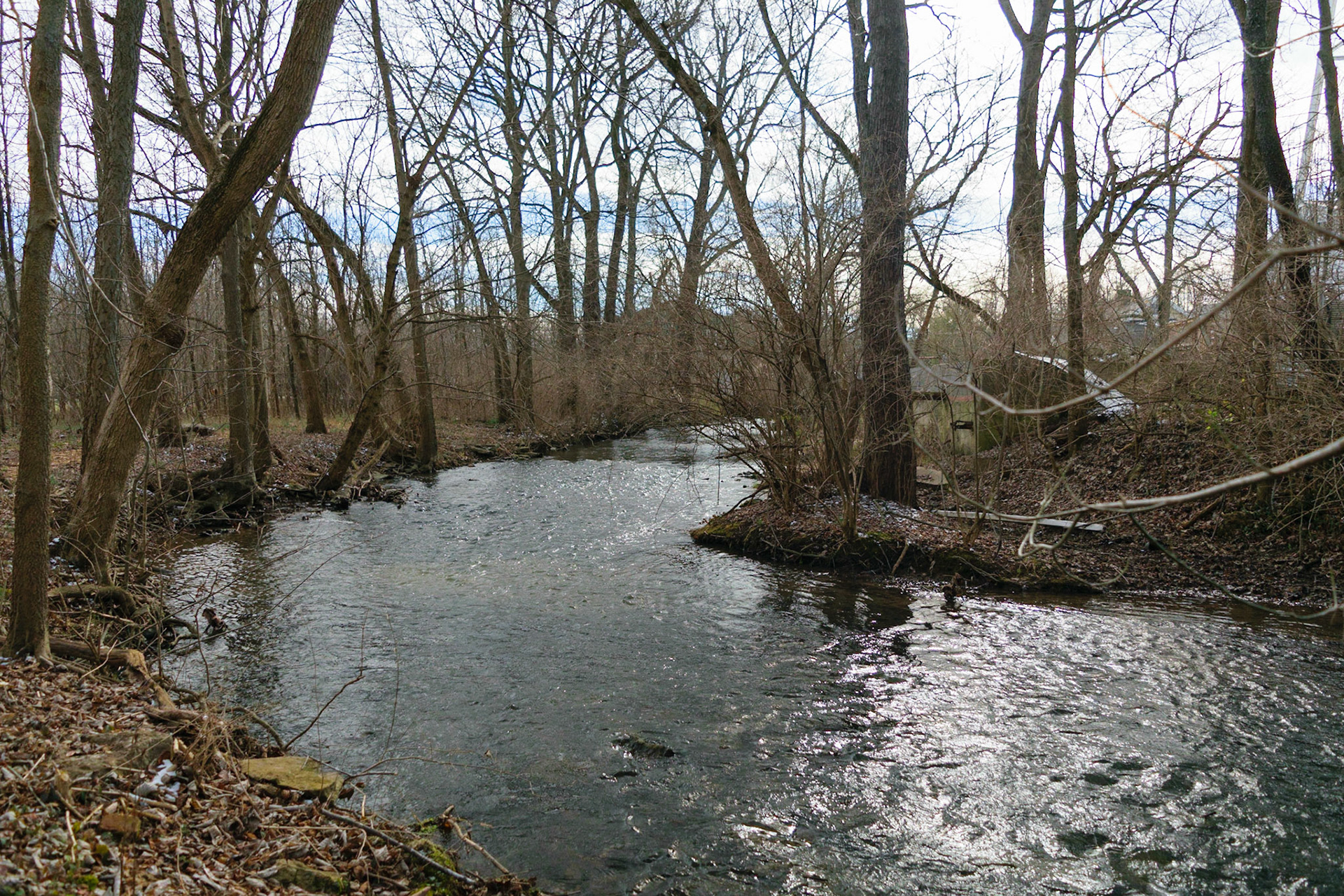 The creek looked a little low. I could tell that some of the little pools off the sides were once filled, but not now.