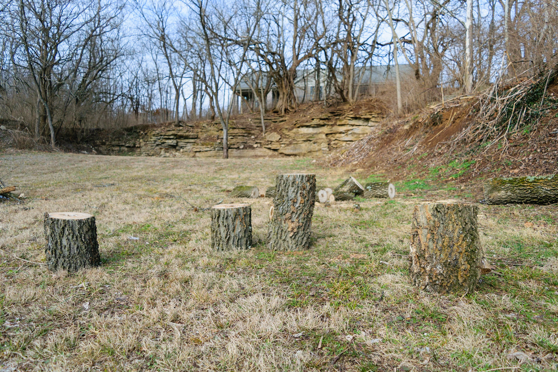 These logs look like they're having an important meeting.