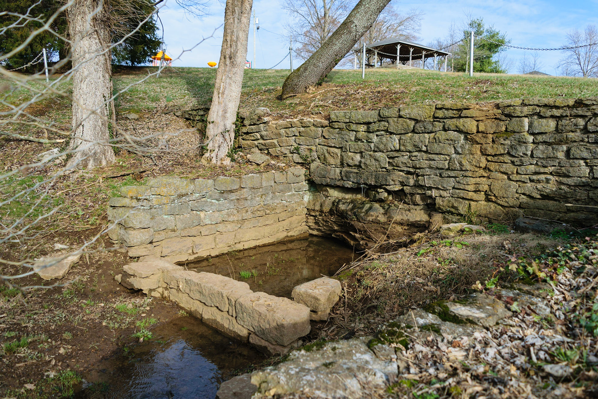 Turns out it was some sort of spring. There's lots of springs in KY.