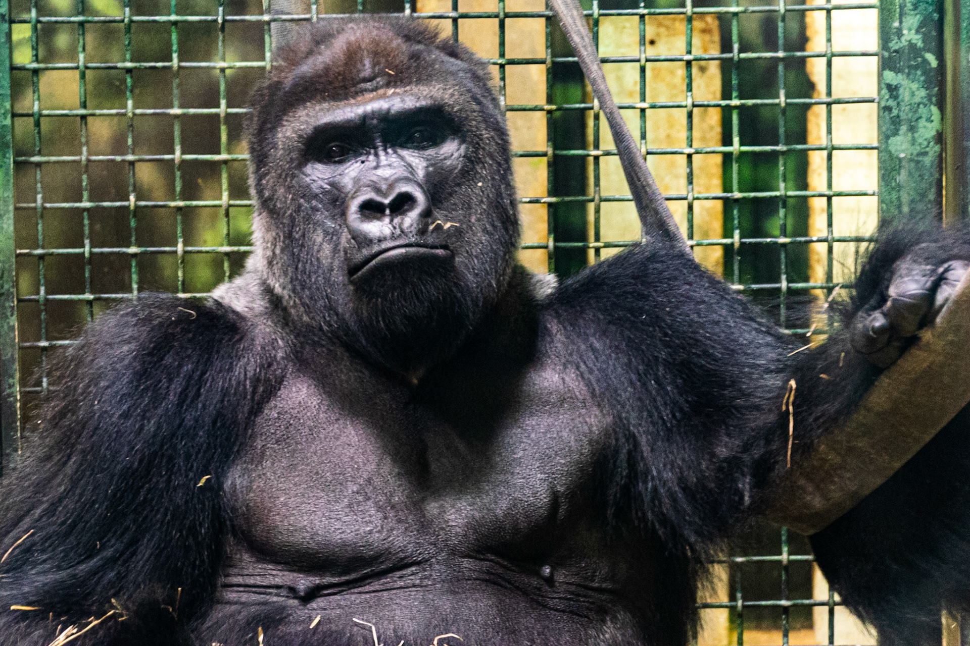 It seemed like this guys was watching us just as much as we were watching him.