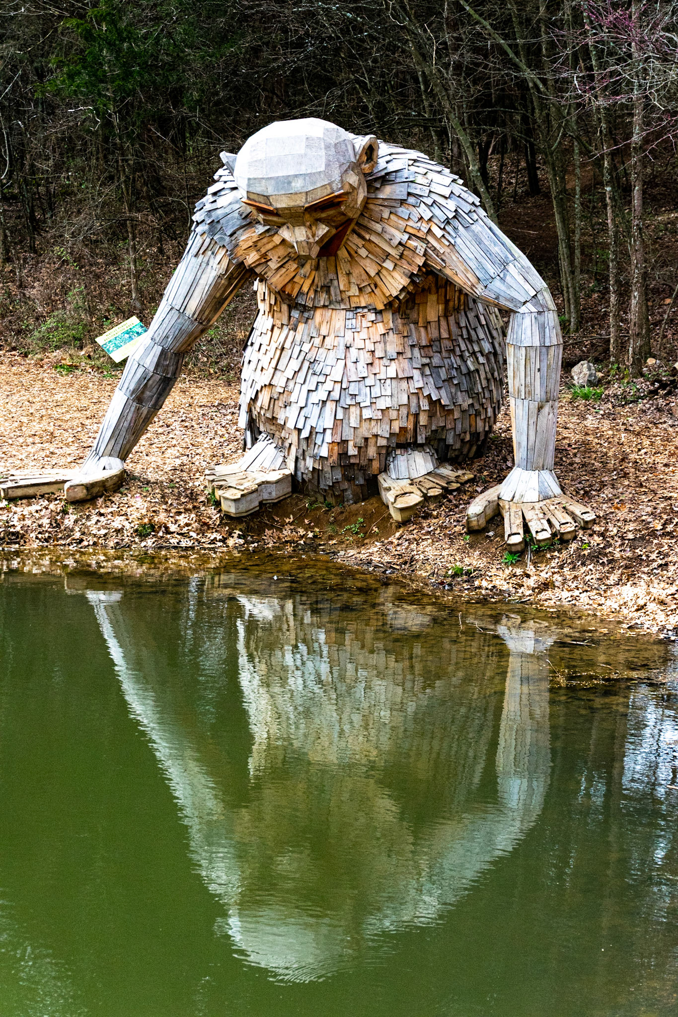 One of the three forest giants that live in Bernheim Forest. I liked how it looks like he's looking at his reflection.
