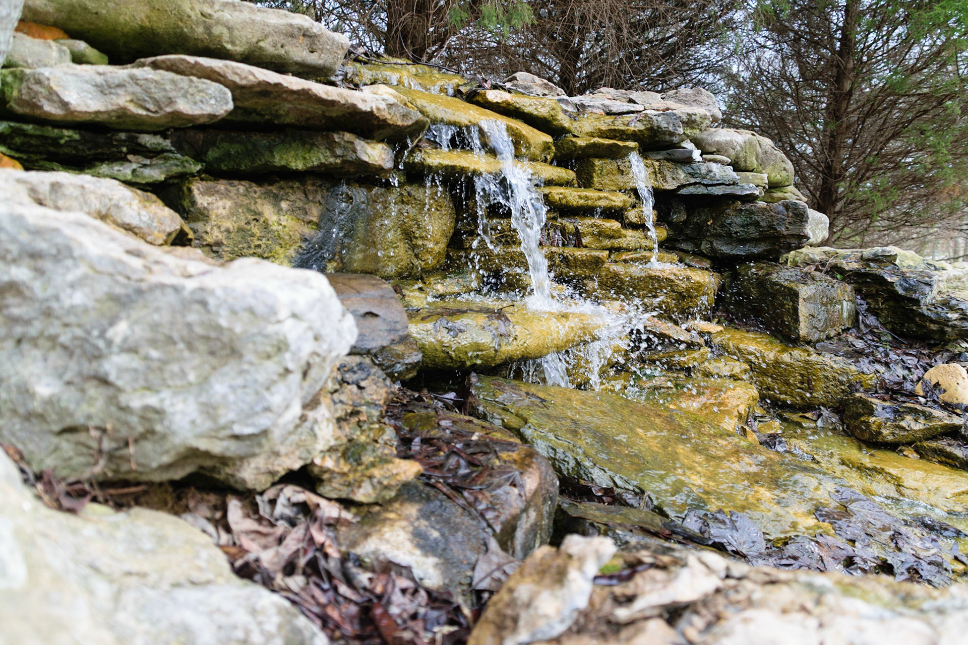 This little water fall feeds into a small pond in the center of the park.