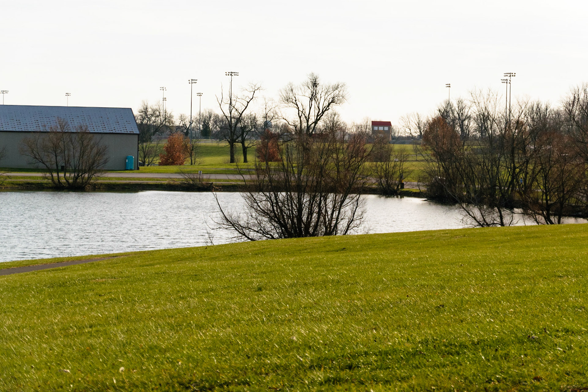 The white sky shimmers on the pond's surface.