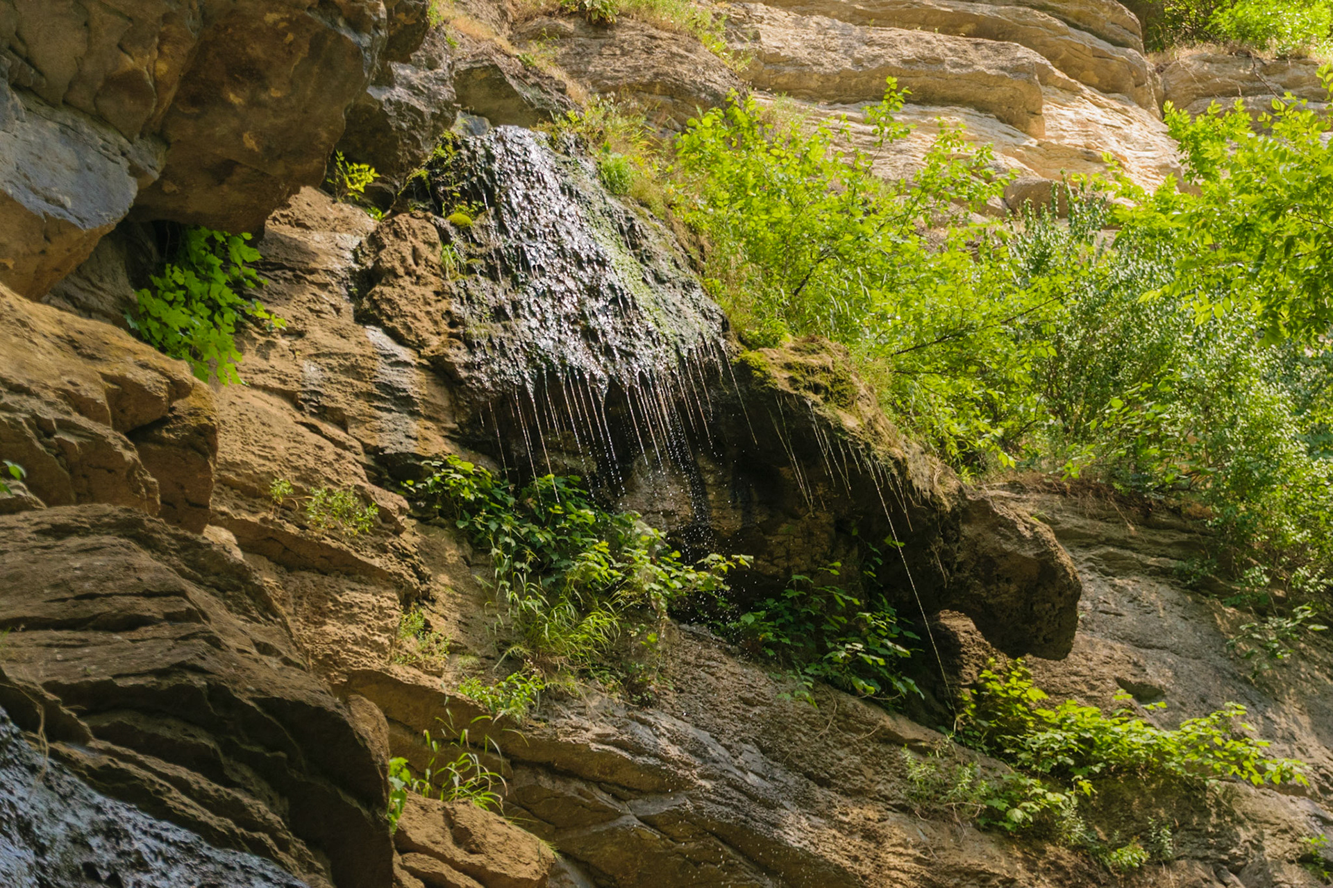 This area contains a few places where the spring cascades down the rock face.