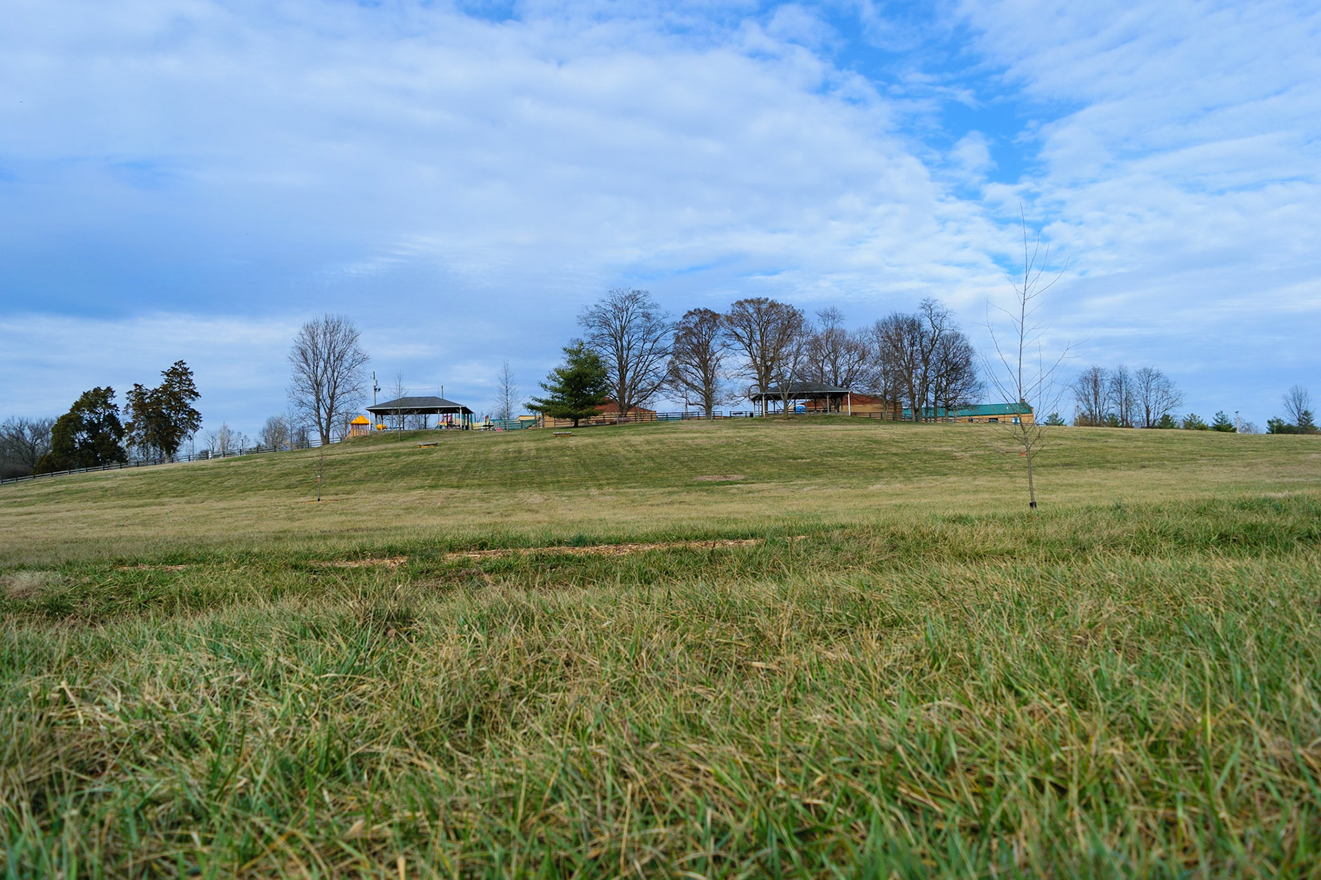 A wide shot of the park. Looks like an elementary school in the background.