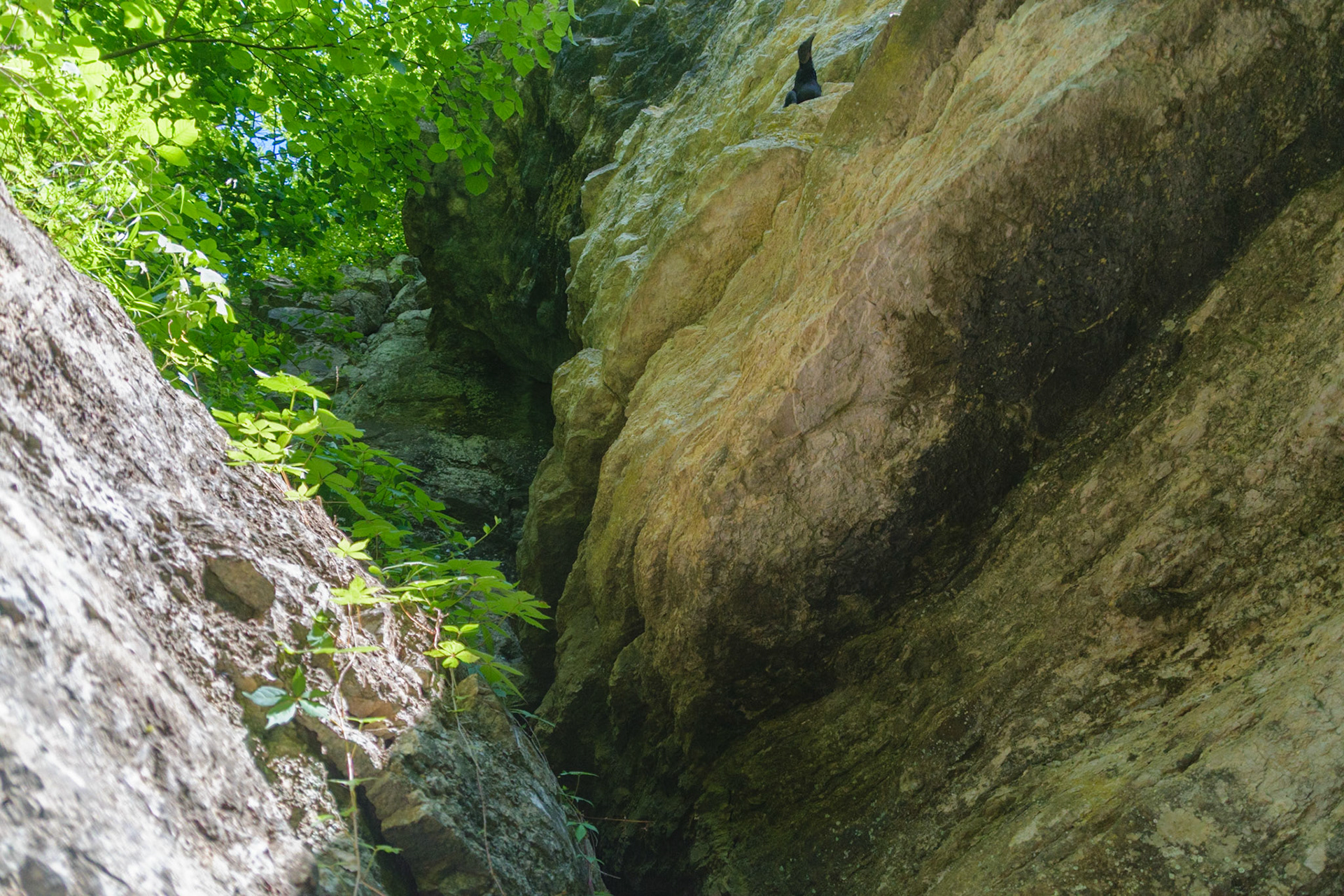 This large rock face looms over the Kentucky River.